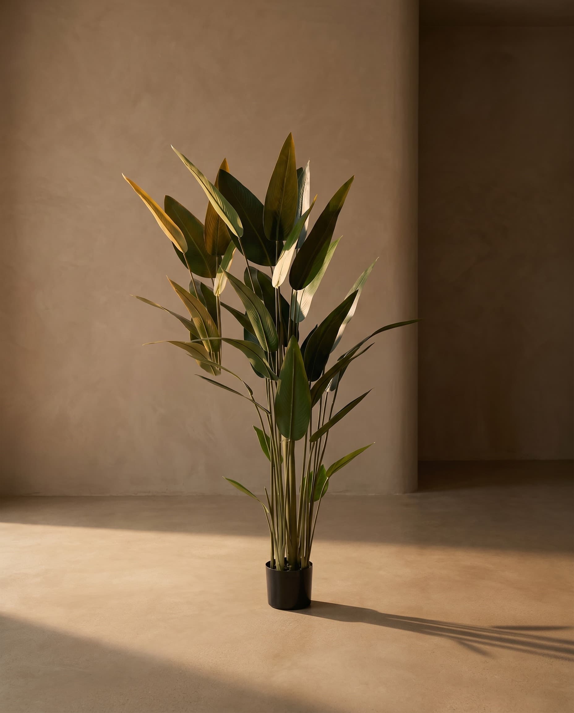 The Strelitzia Reginae · 1.8m — The Sculptures