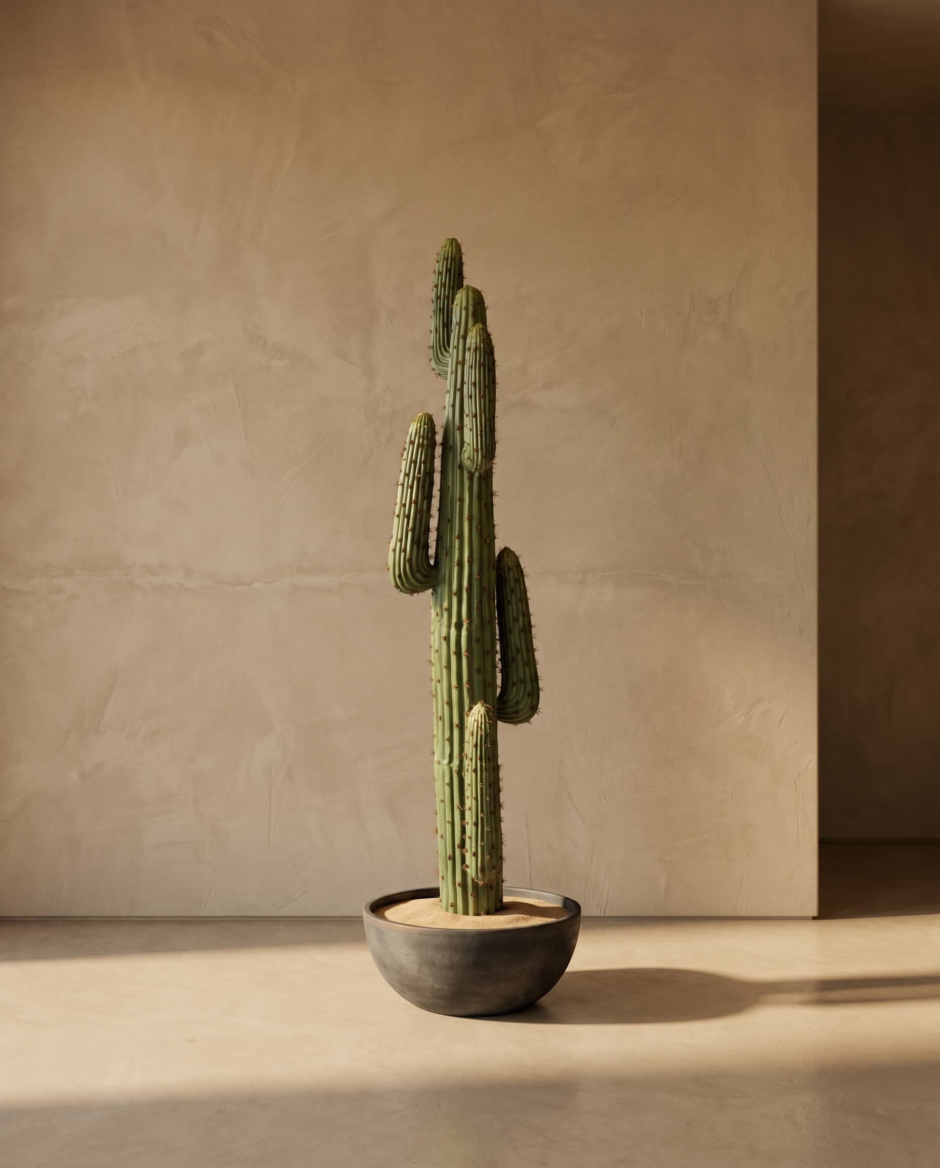 The Cereus Column · 1.72m
