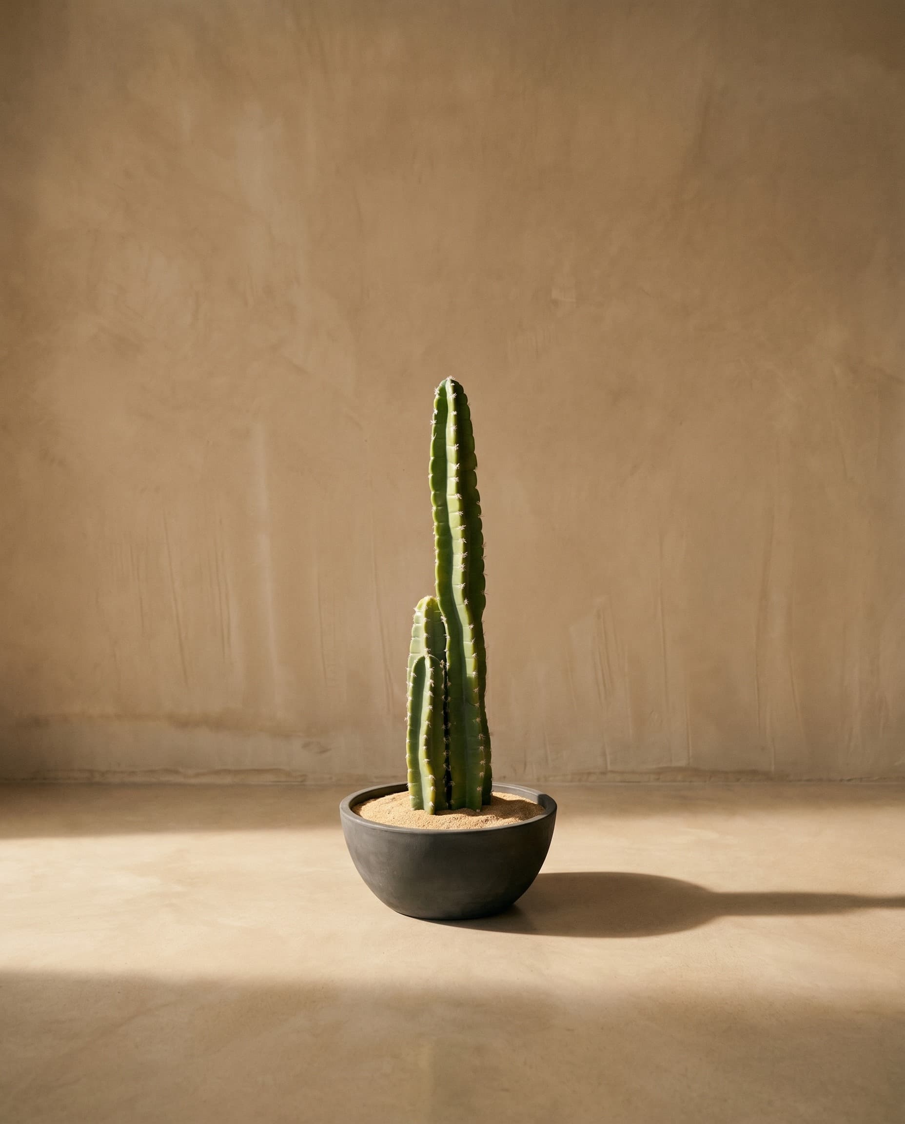 The Cereus Column · 75cm