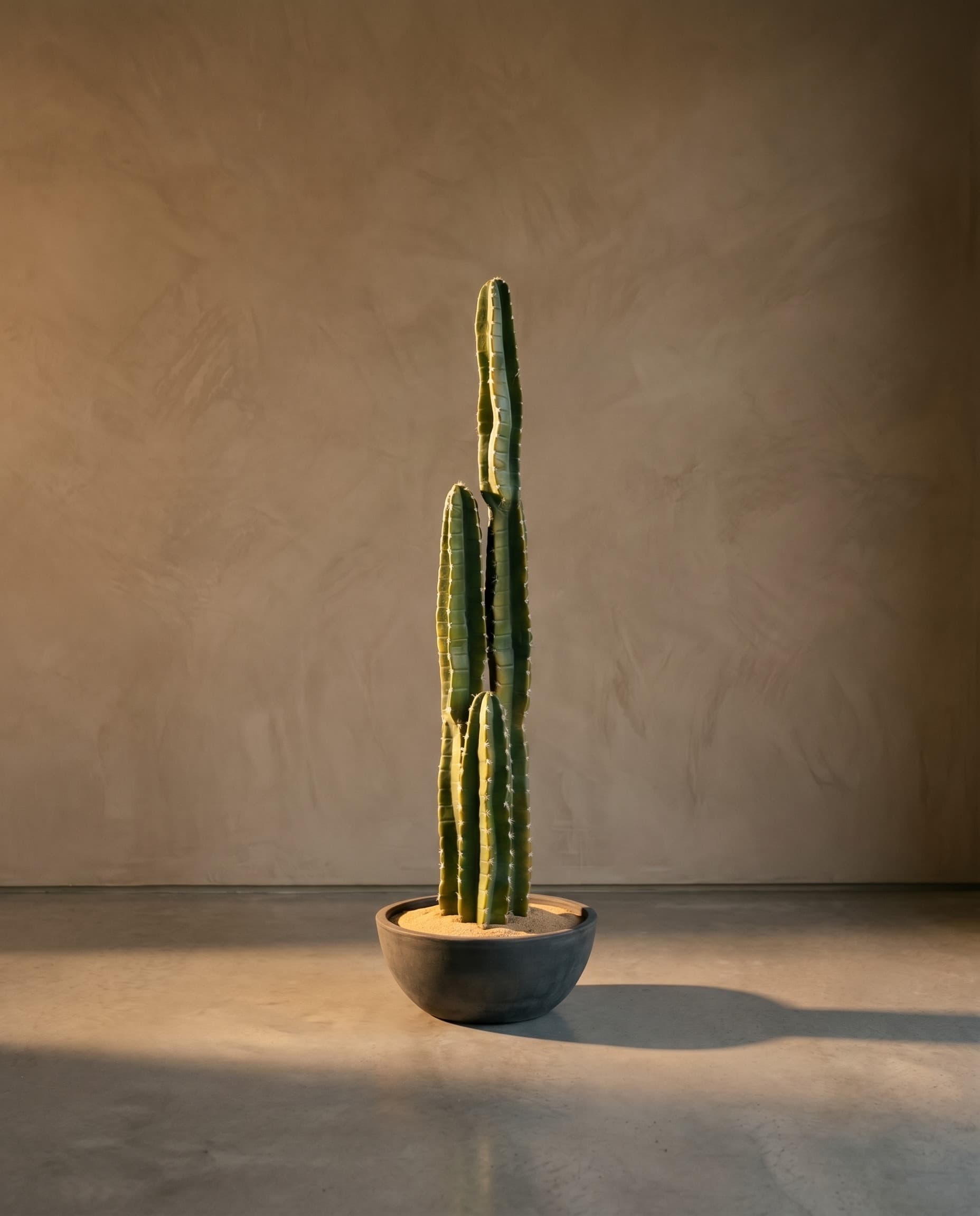 The Cereus Column · 1.08m
