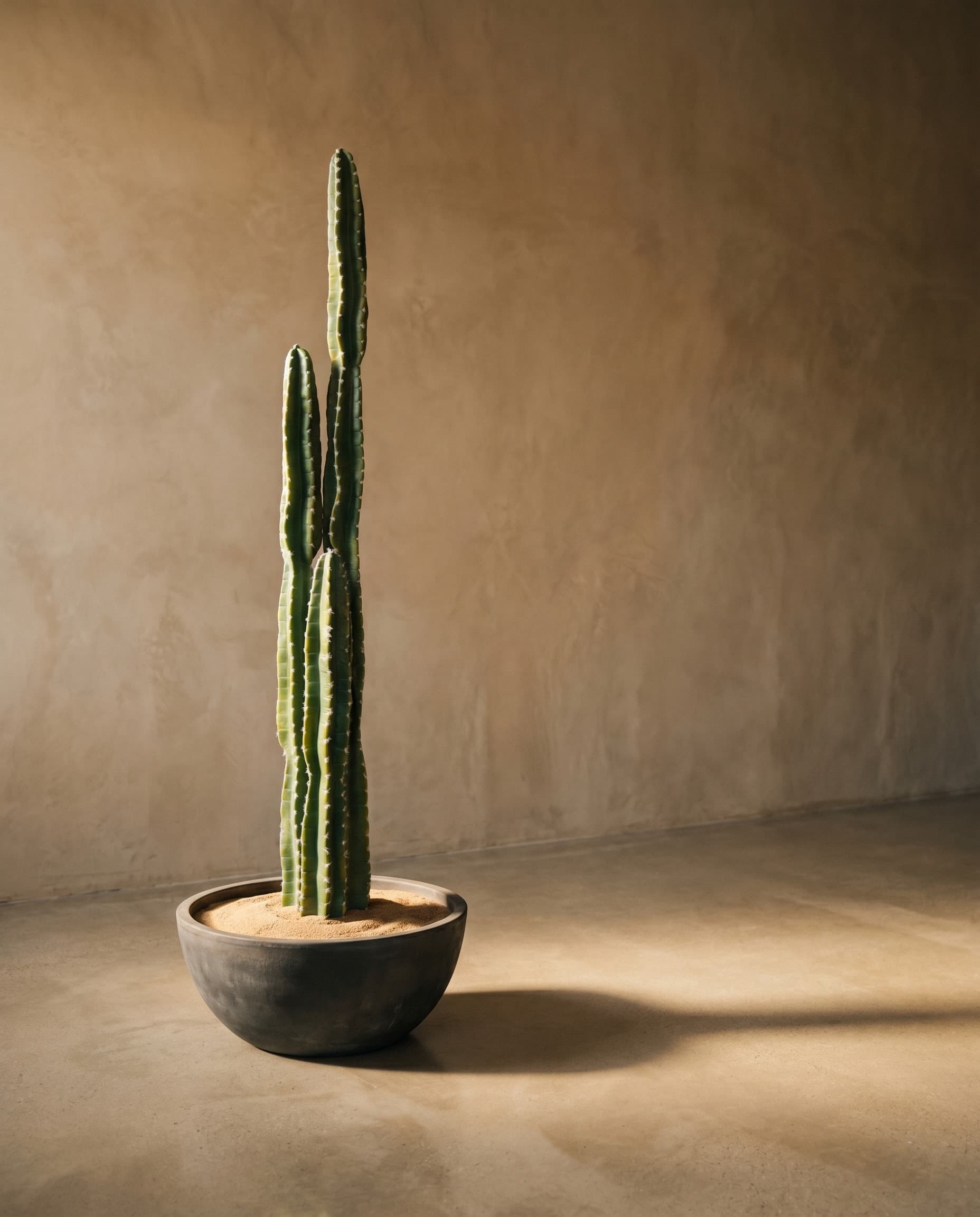 The Cereus Column · 1.41m — The Desert