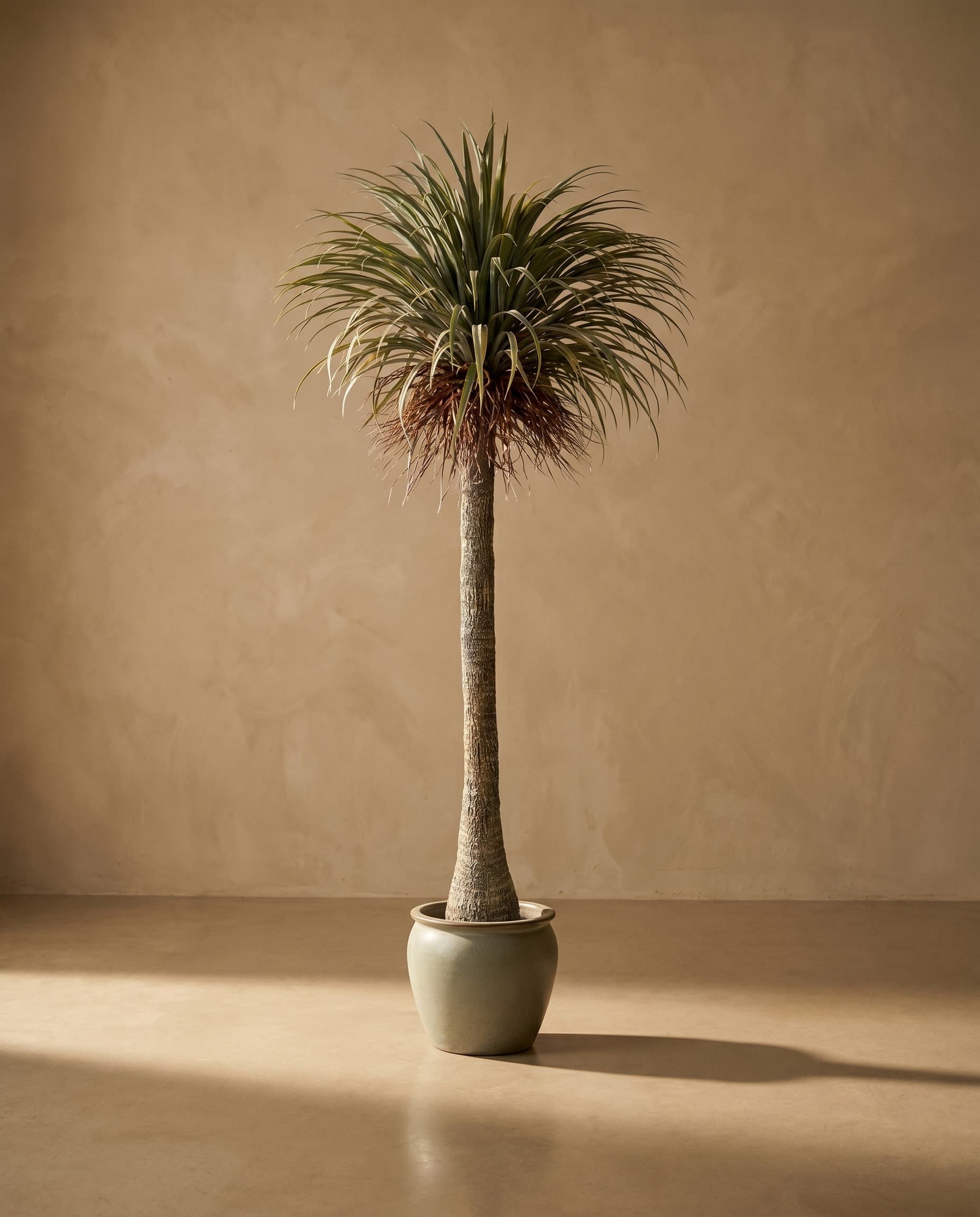 The Palm · 2.3m — The Sculptures