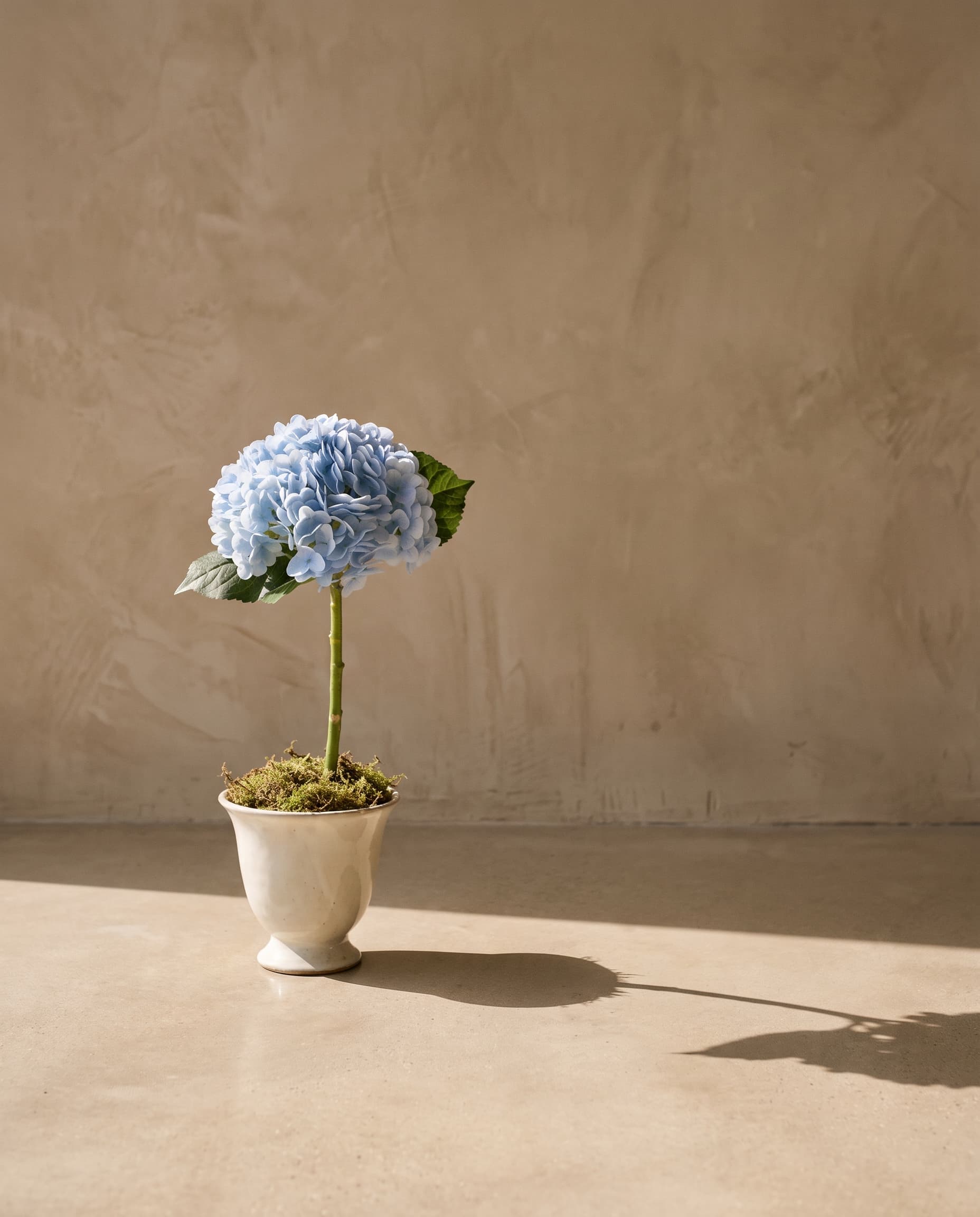 The Garden Hydrangea (with stem)