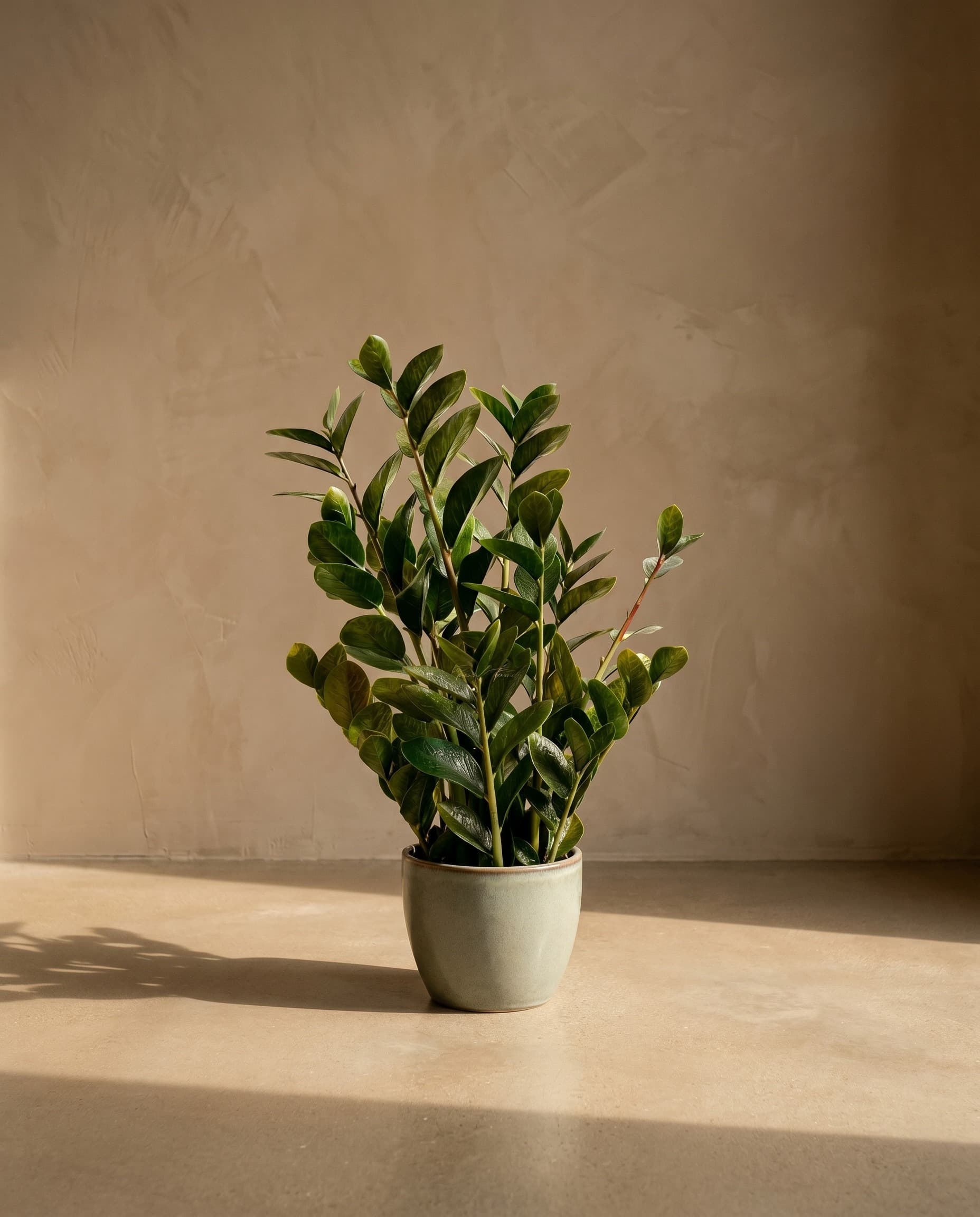 The Statement Tree · 90cm