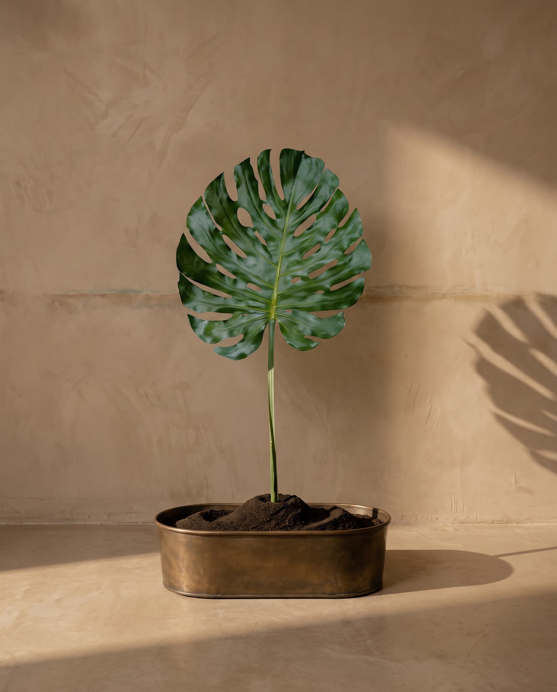 The Monstera Leaf SPU giant