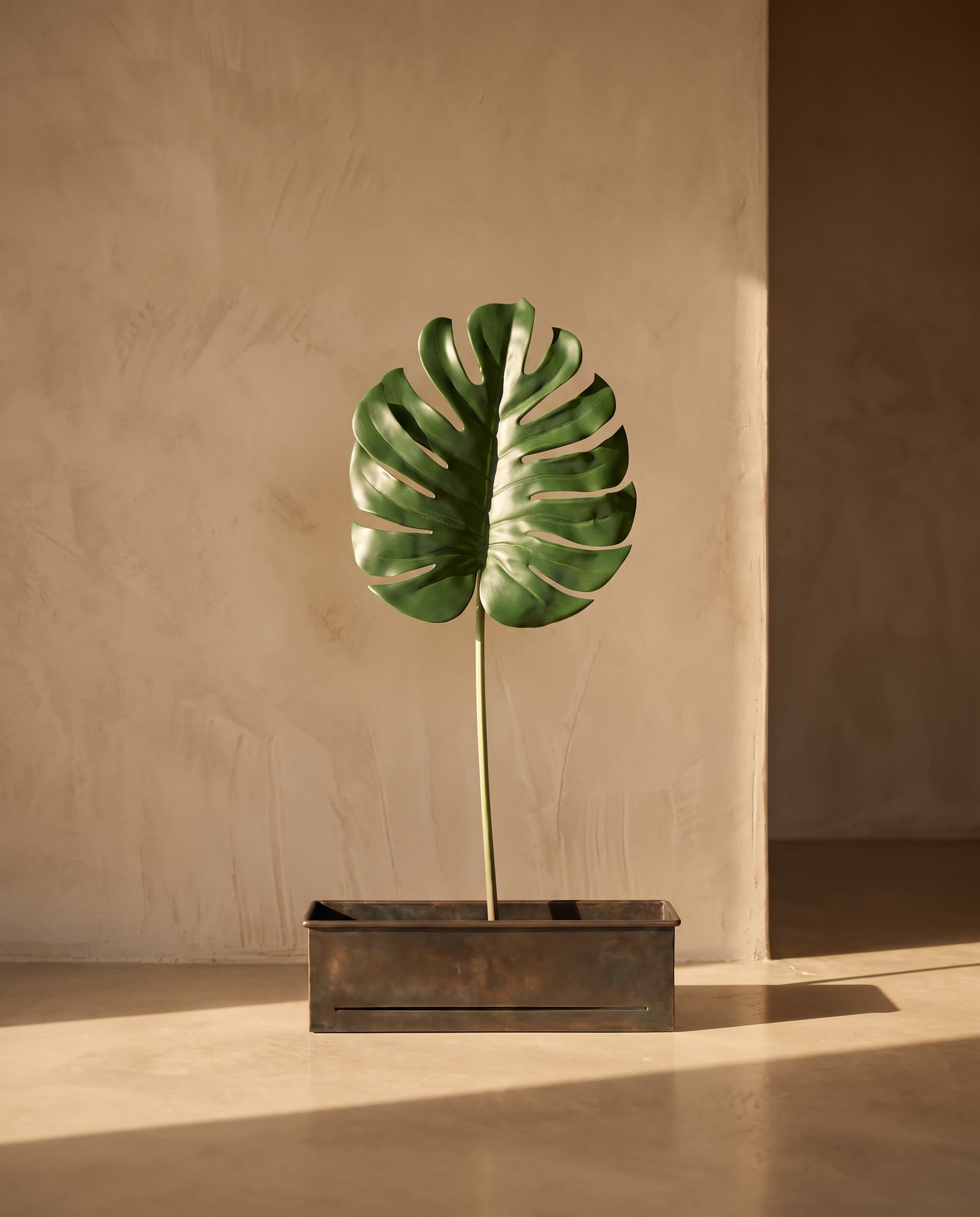 The Monstera Leaf 3D big