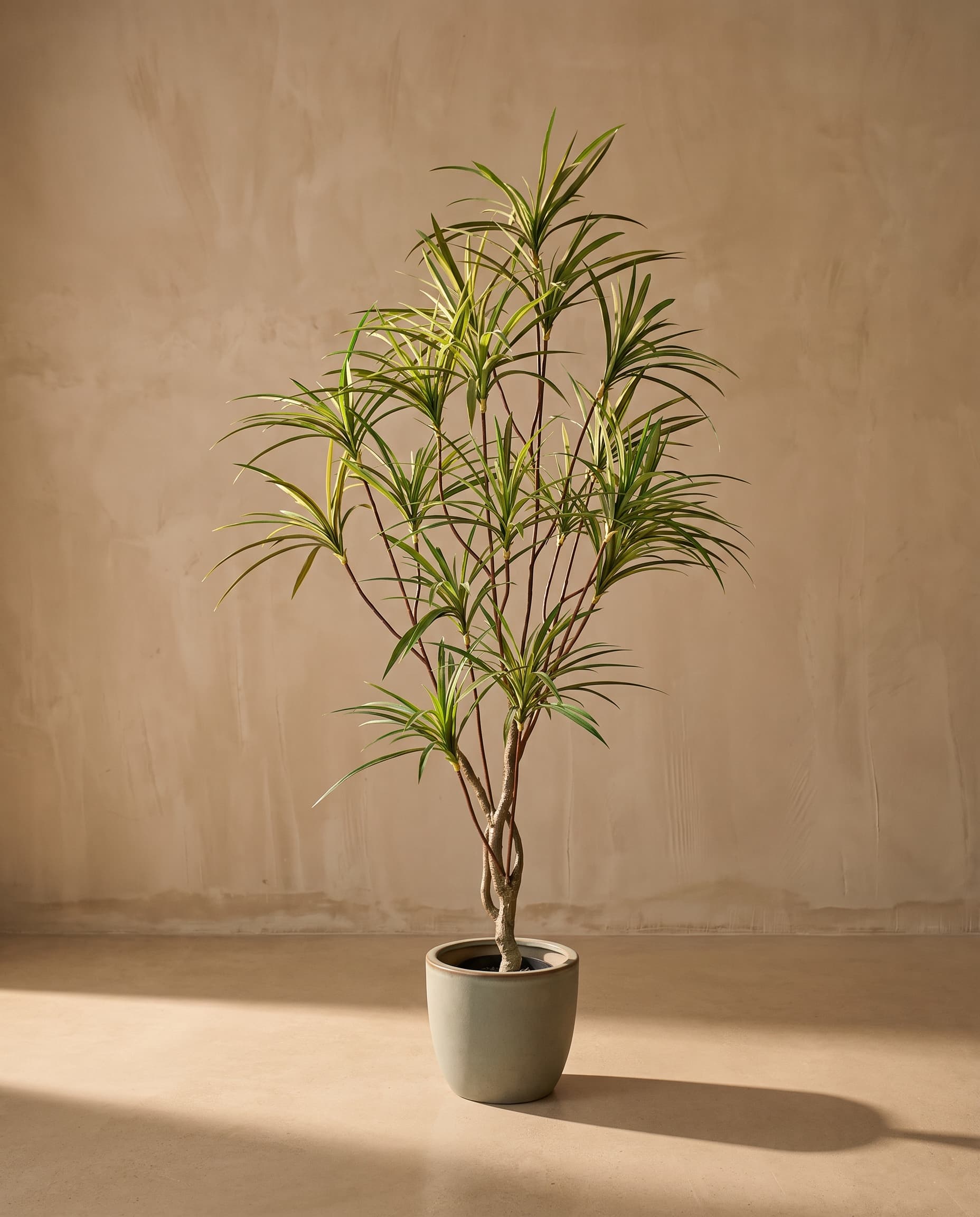 The Statement Tree · 1.9m