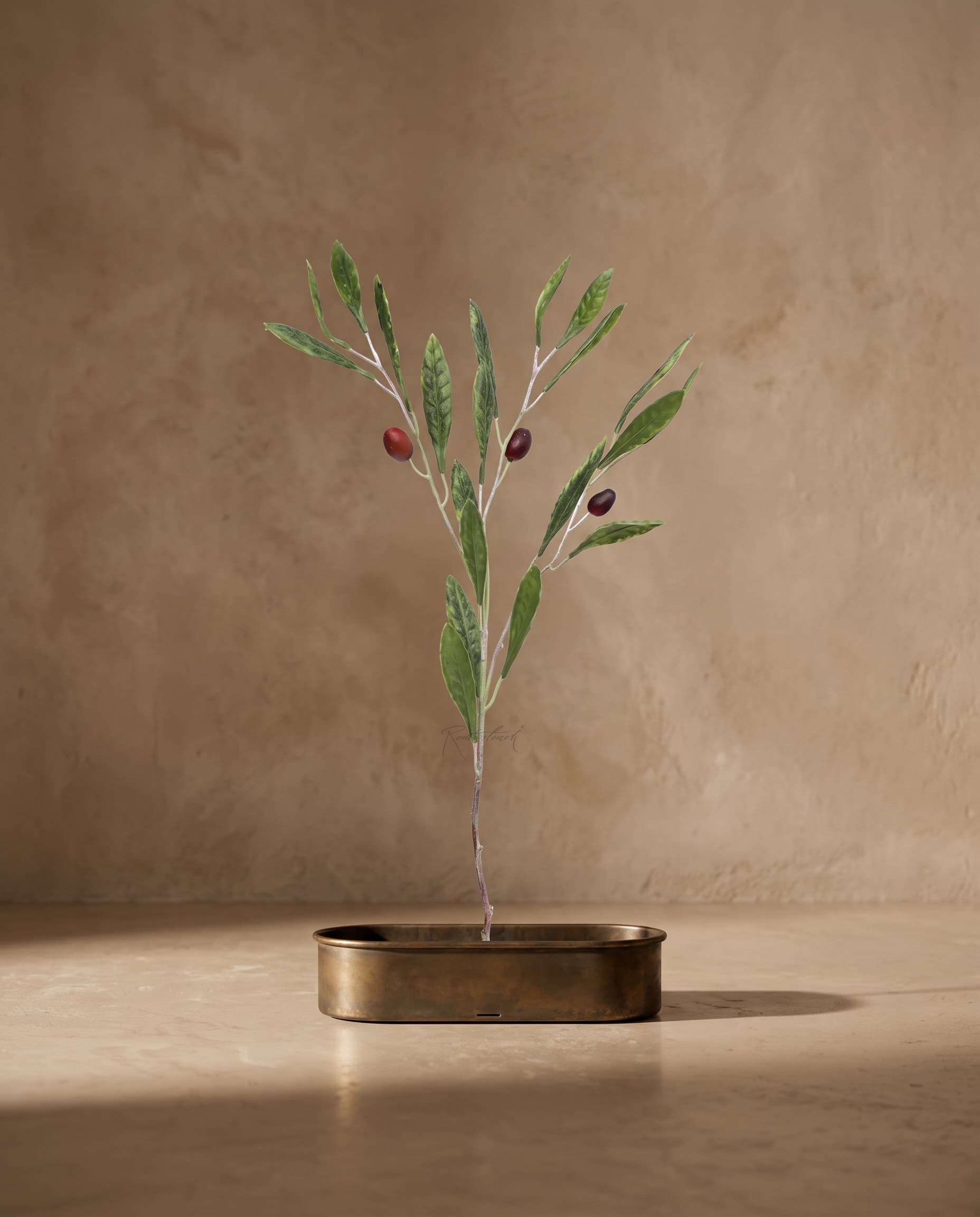 The Olive branch with fruits · 75cm
