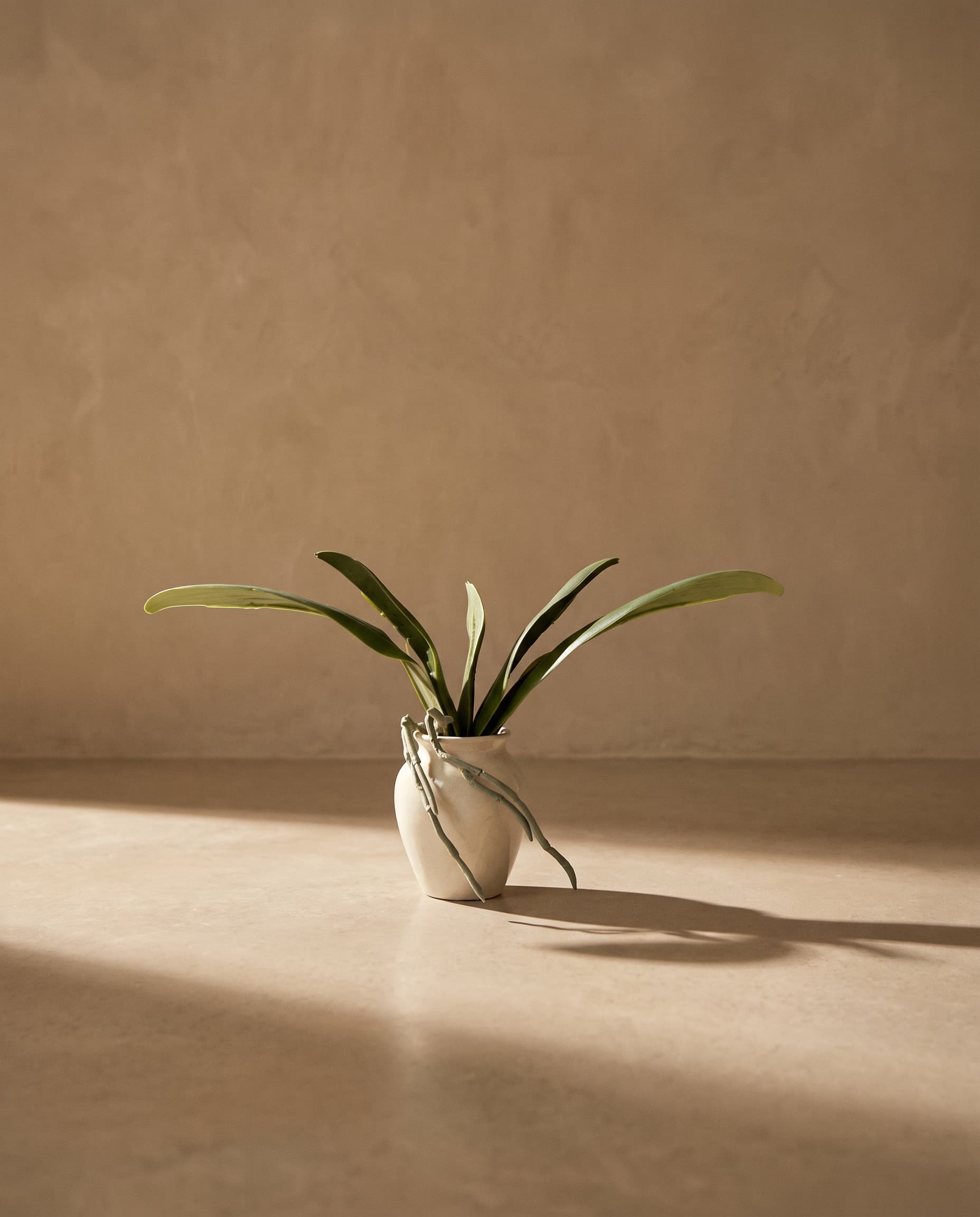 The Orchid Leaves (9.8 inches)