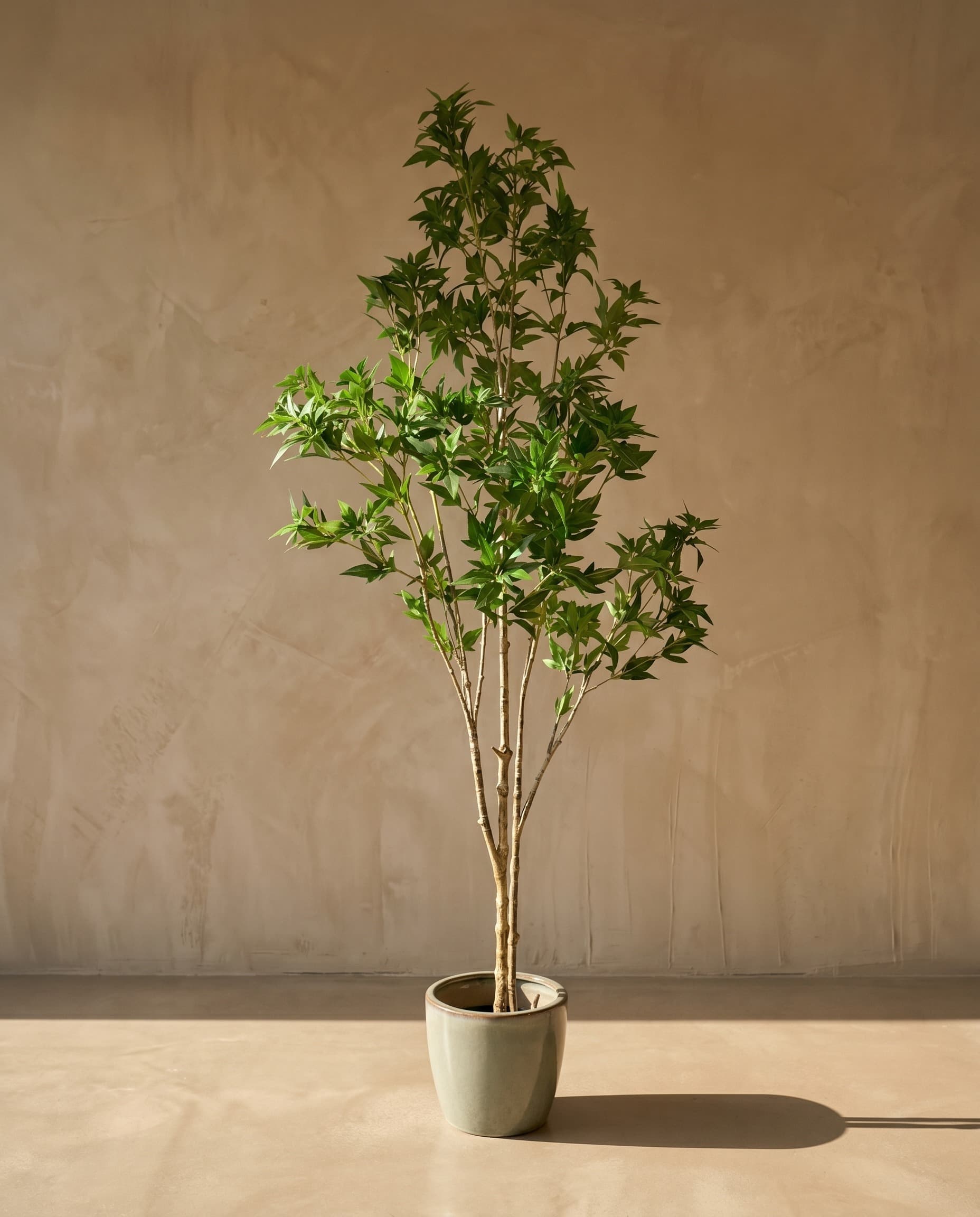 The Maple · 1.7m — The Sculptures