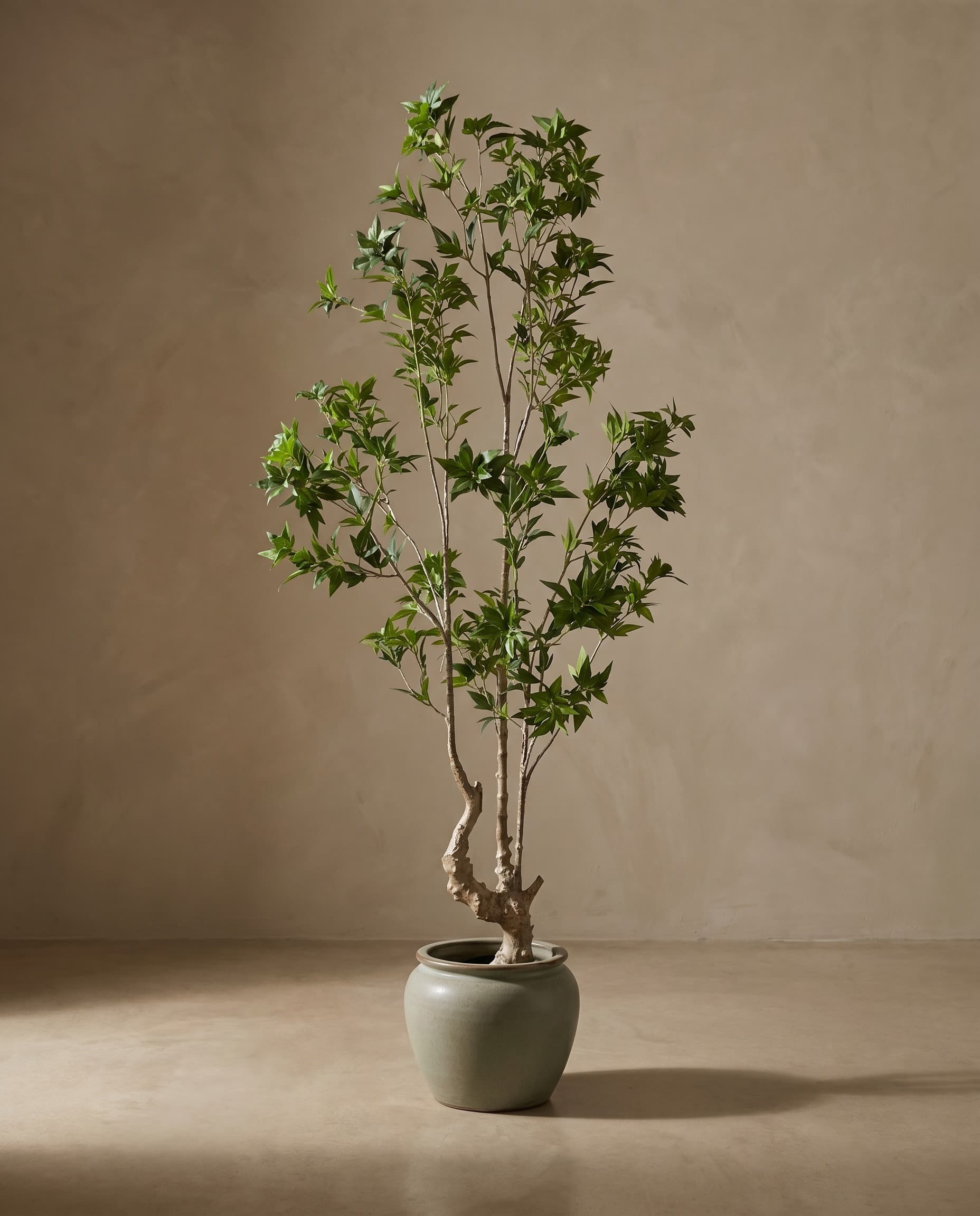 The Maple · 1.9m — The Sculptures