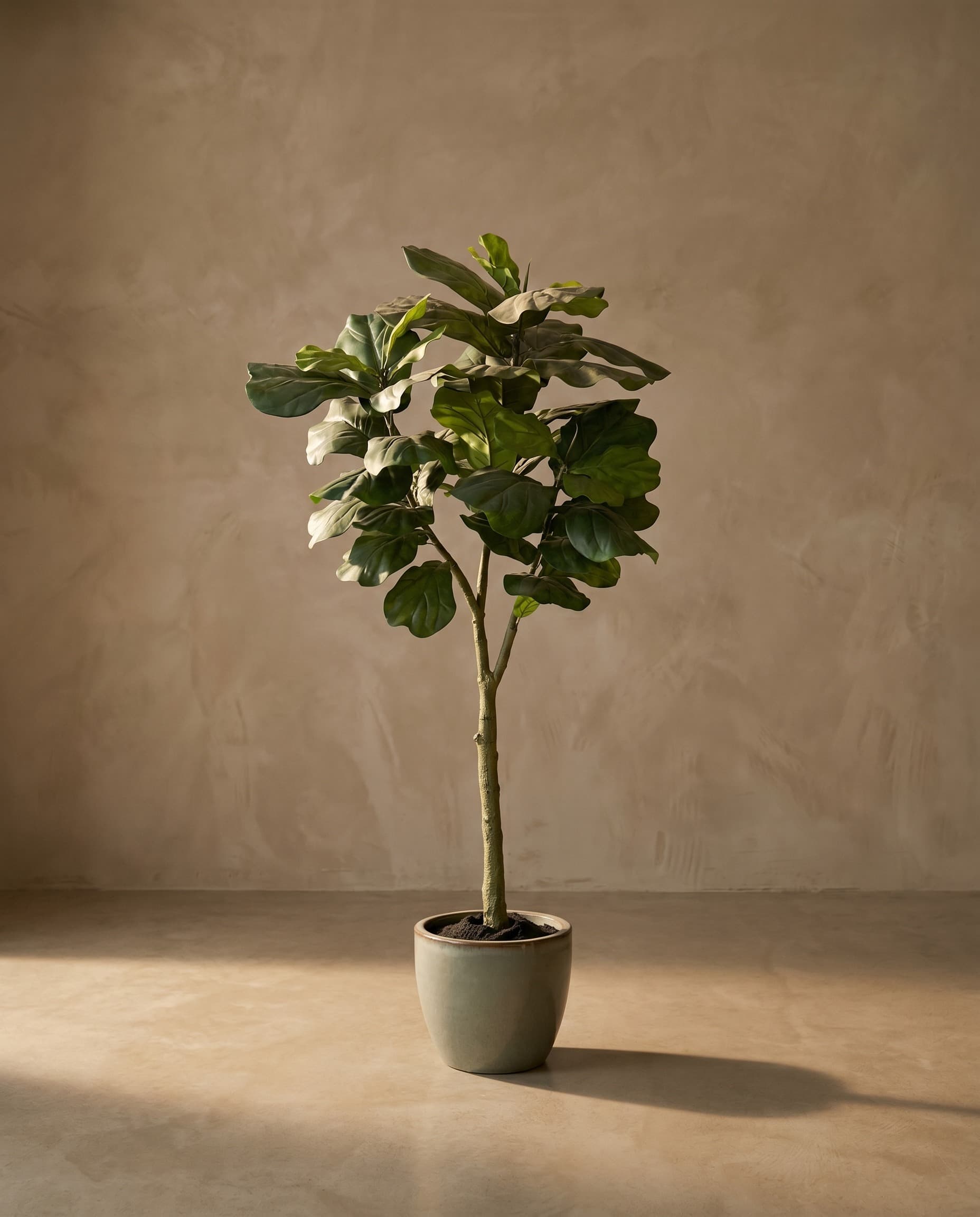 The Lirata · 1.8m — The Sculptures