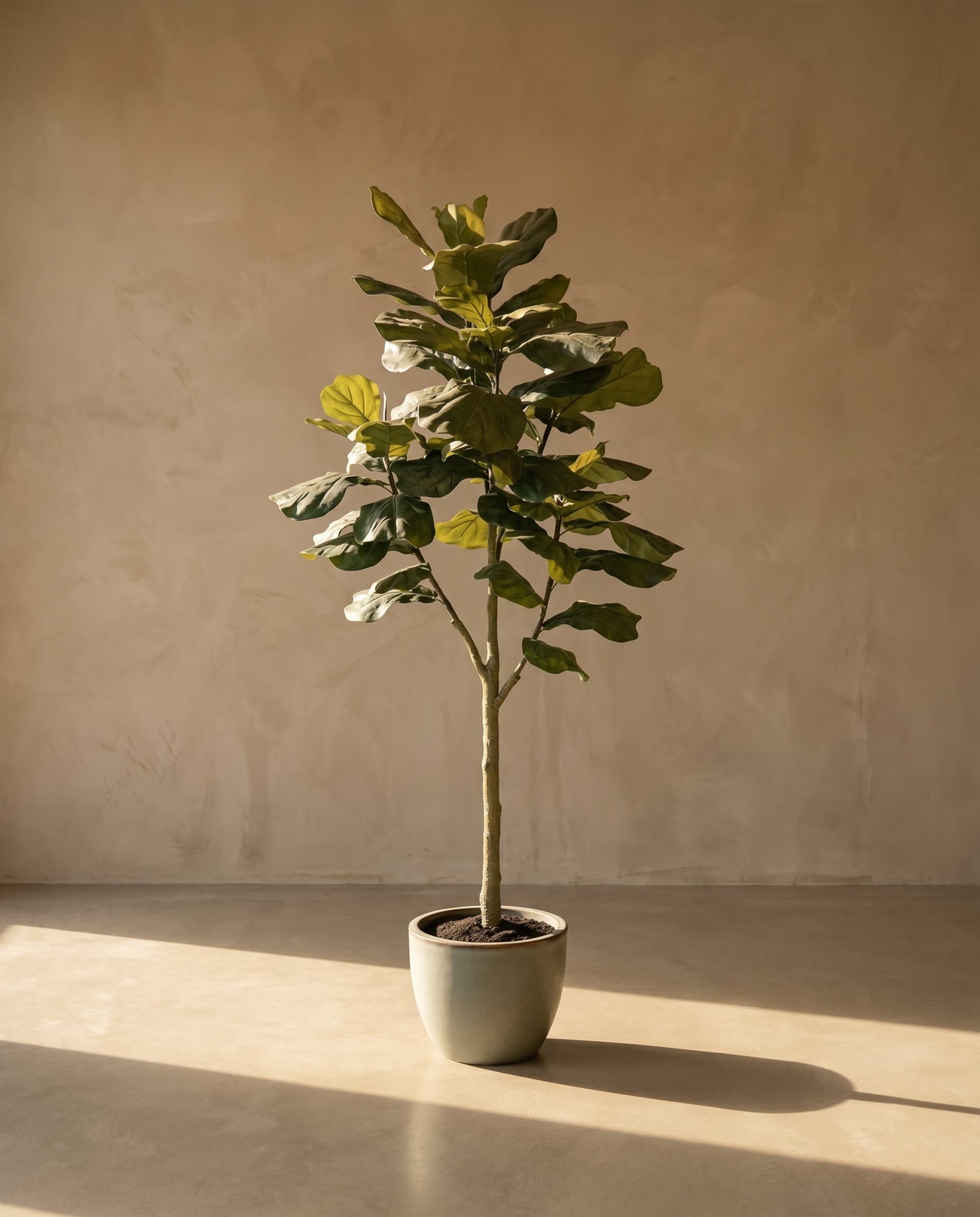 The Lirata · 2.1m — The Sculptures