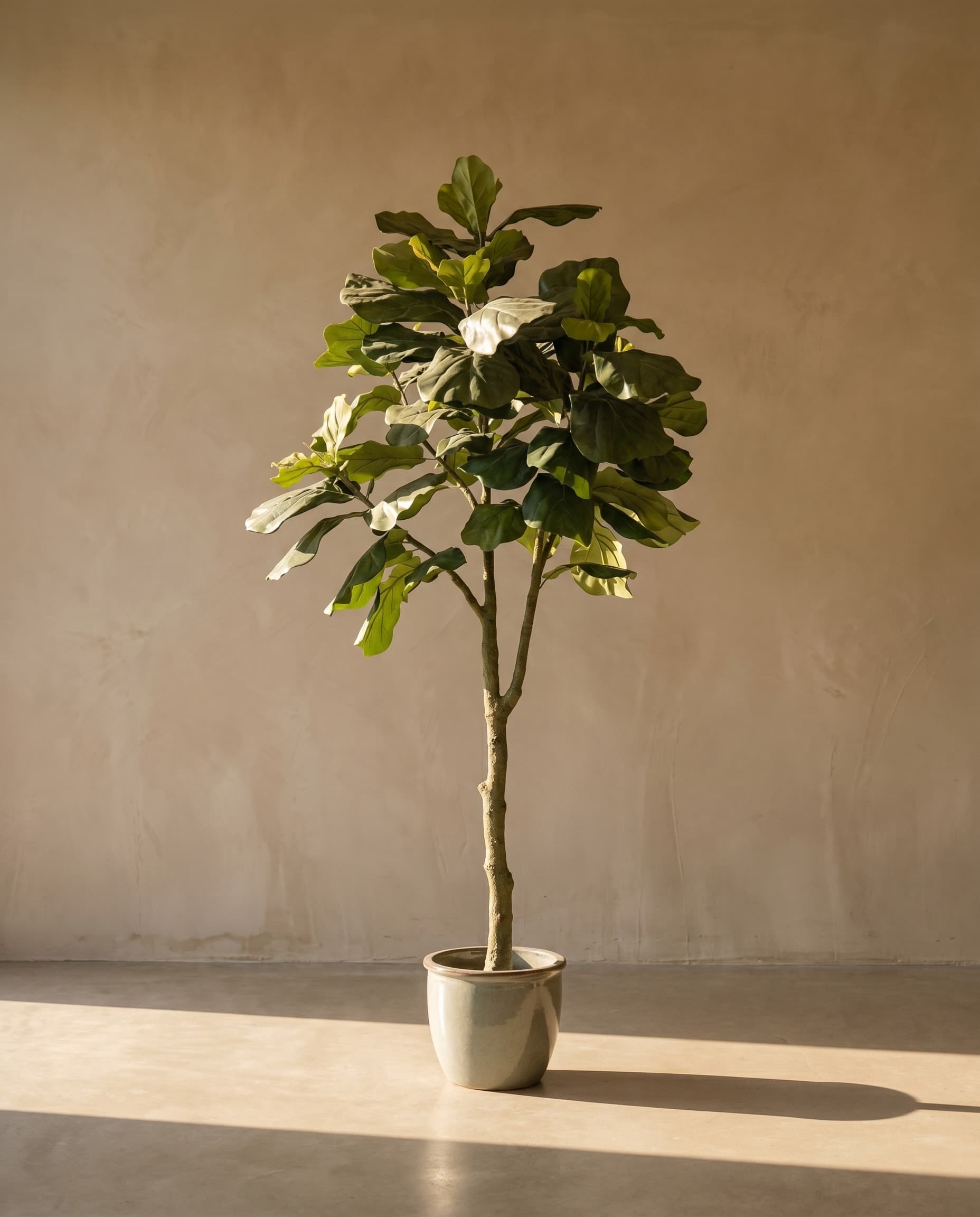 The Lirata · 2.4m — The Sculptures