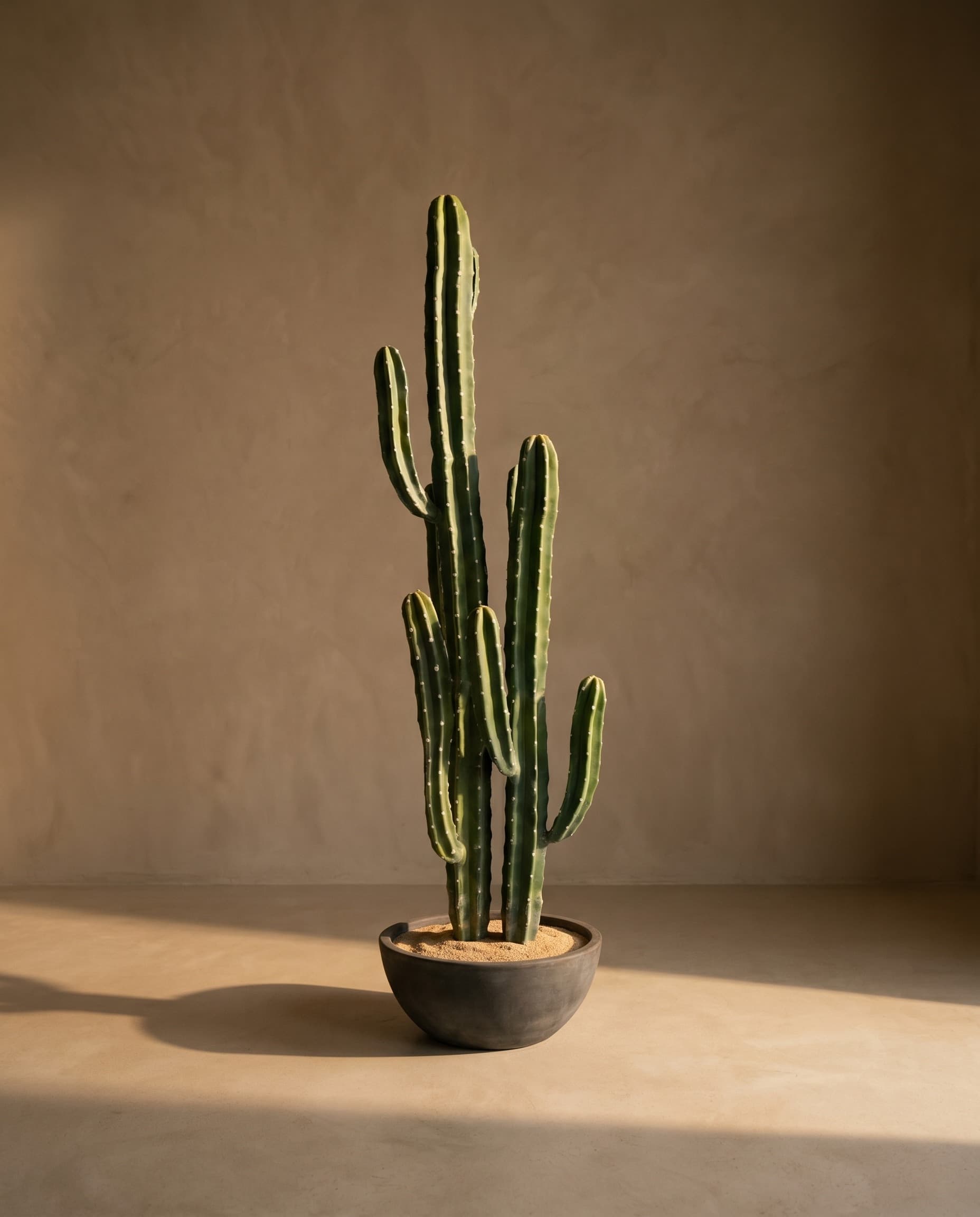 The Cereus Column · 1.43m — The Desert