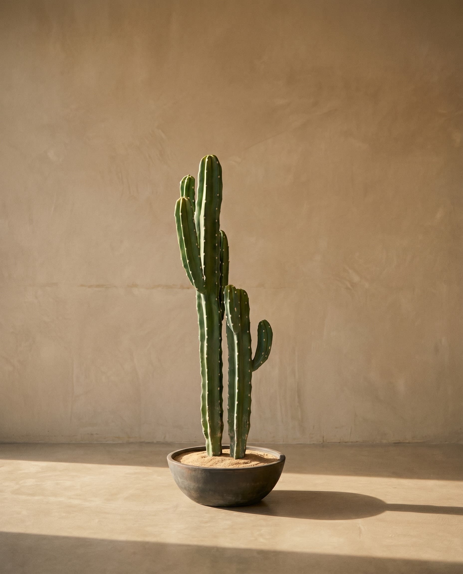 The Cereus Column · 1.01m