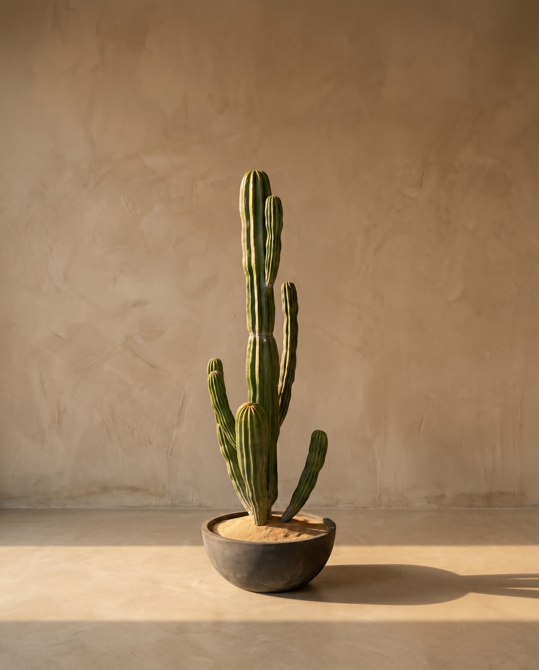 The Desert Giant · 1.6m