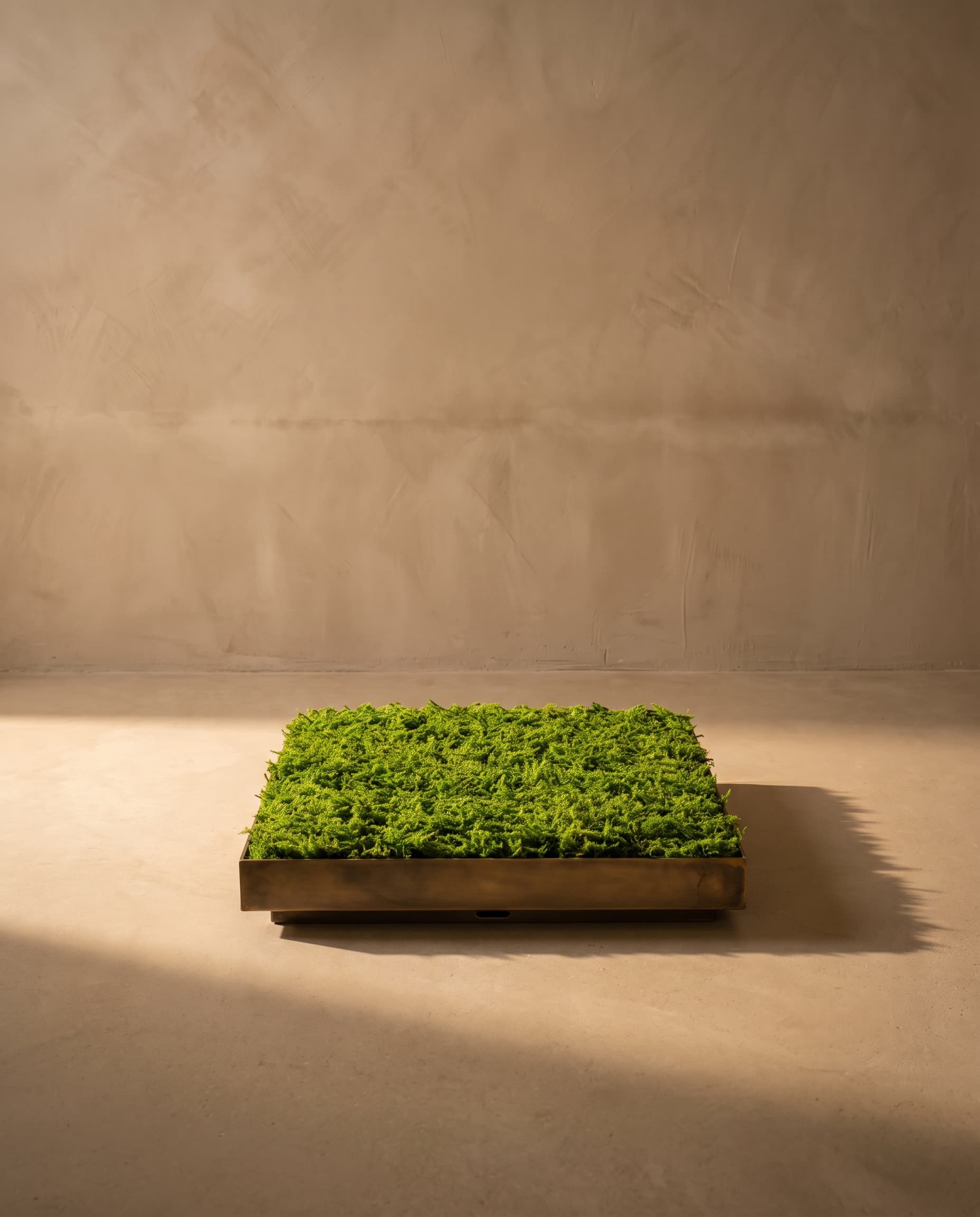 The Moss mat 1*1м 100-5