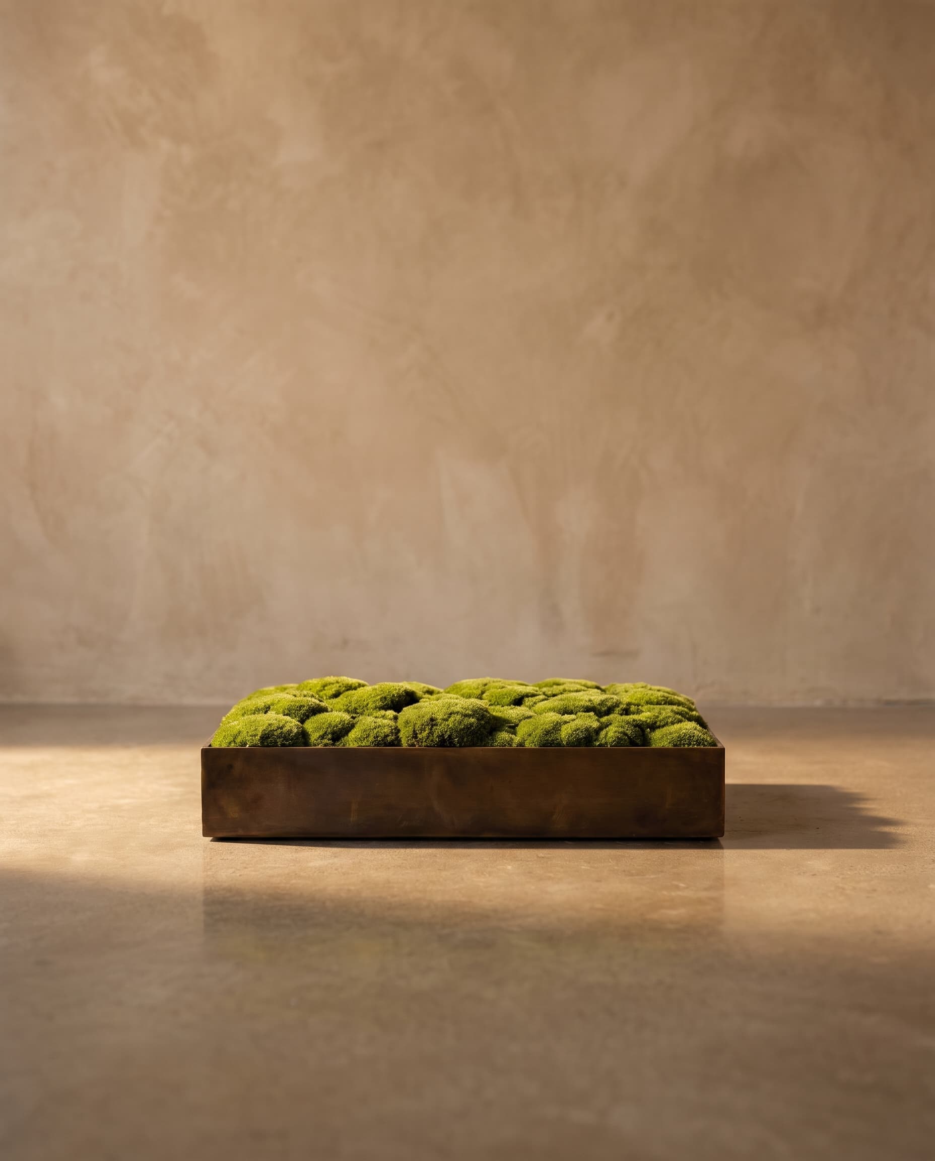 The Moss mat 1*1м 9-1