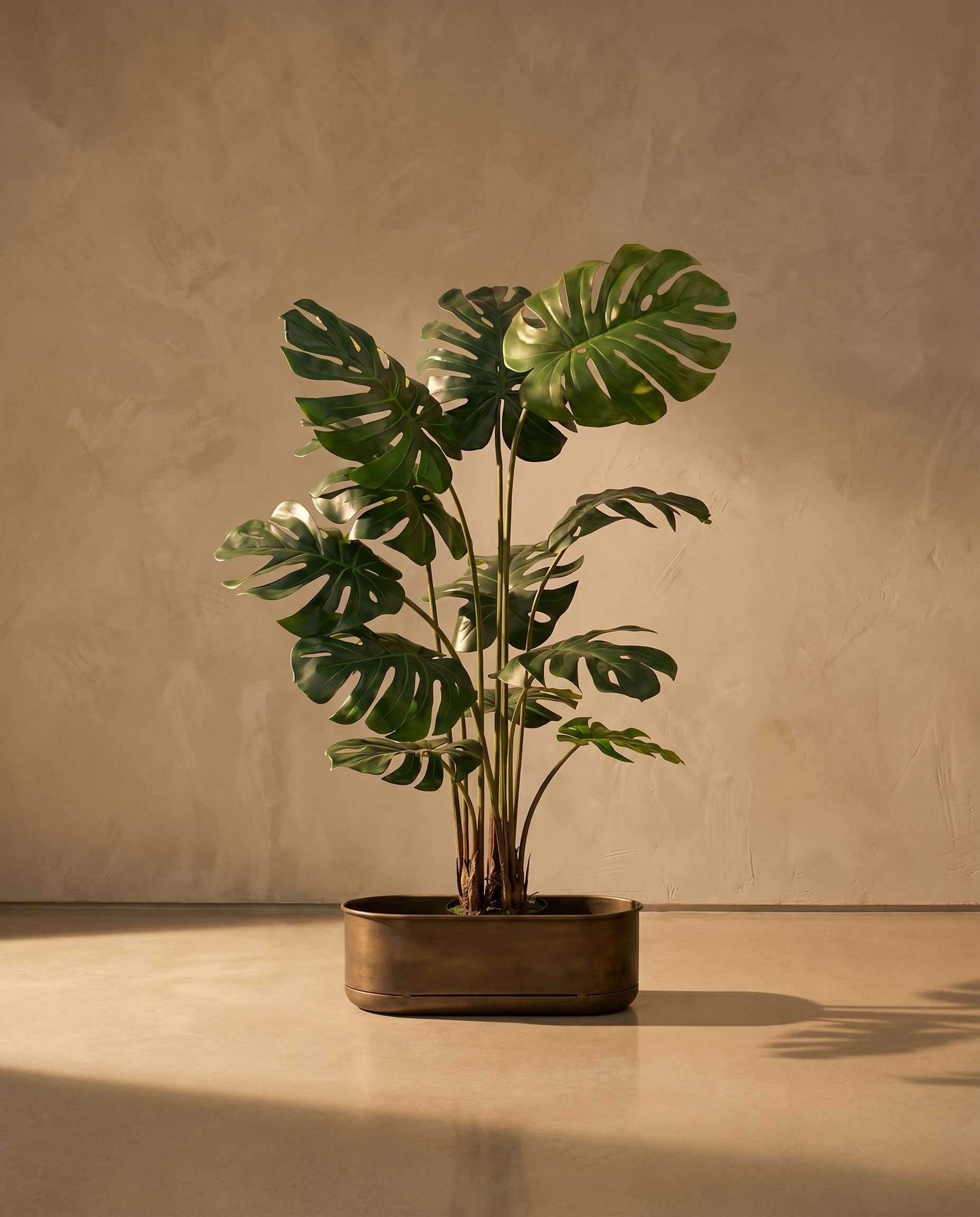 The Monstera · 1.35m — The Verdure