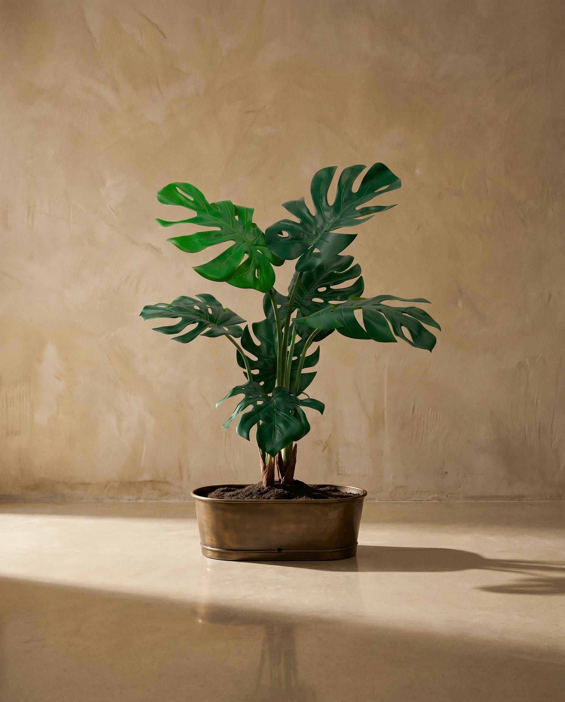 The Monstera · 1m — The Verdure