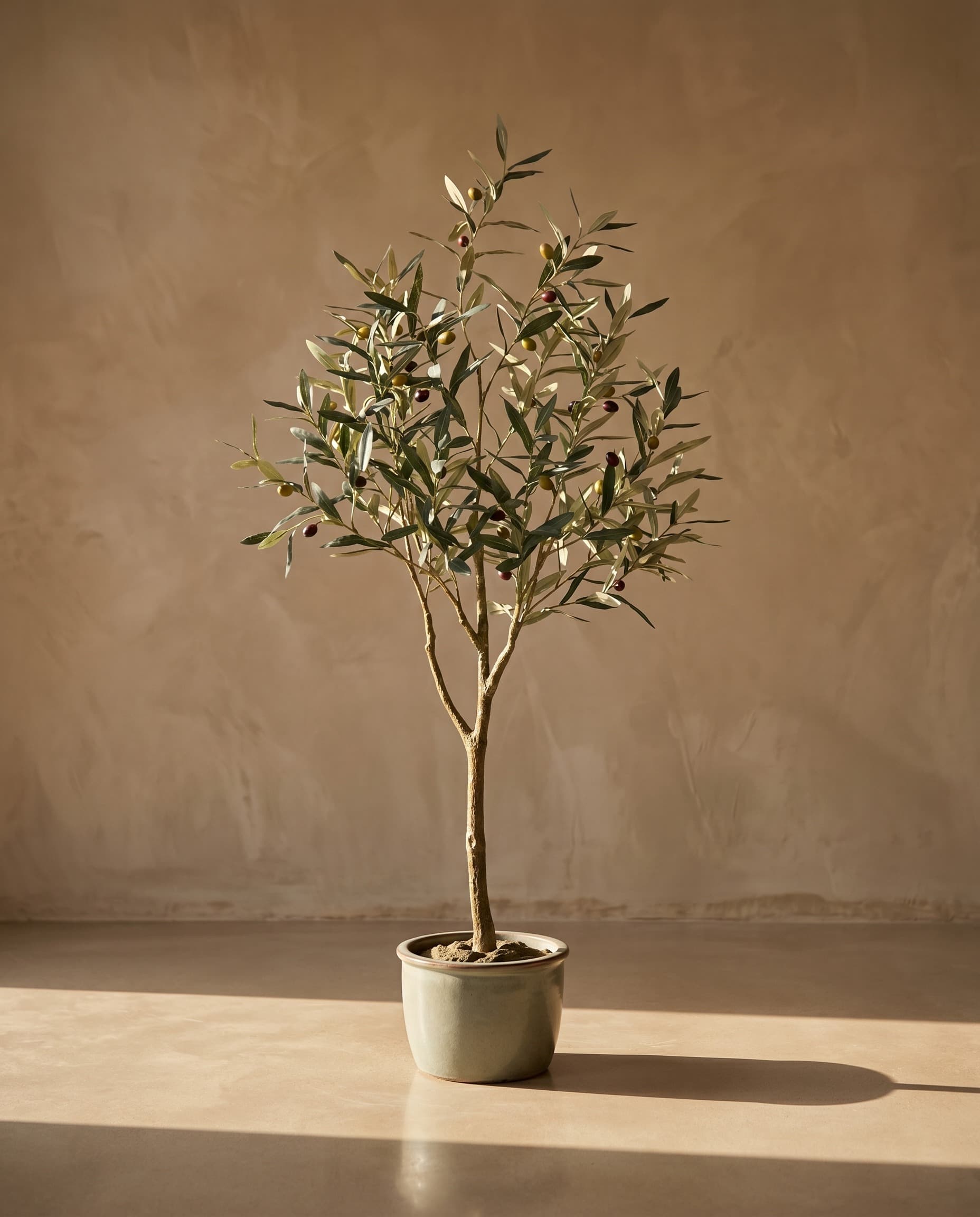 The Olive · 1.15m — The Sculptures