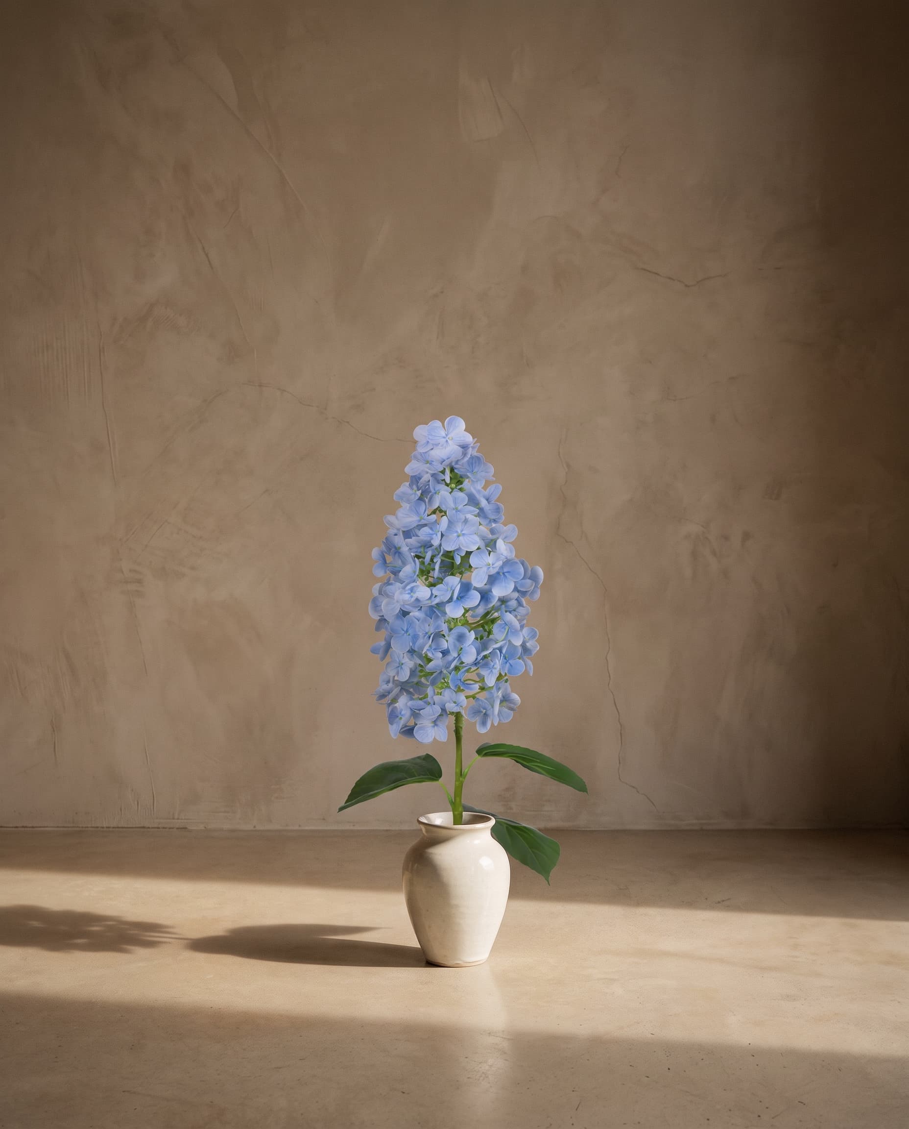 The Hydrangea paniculata on the stem