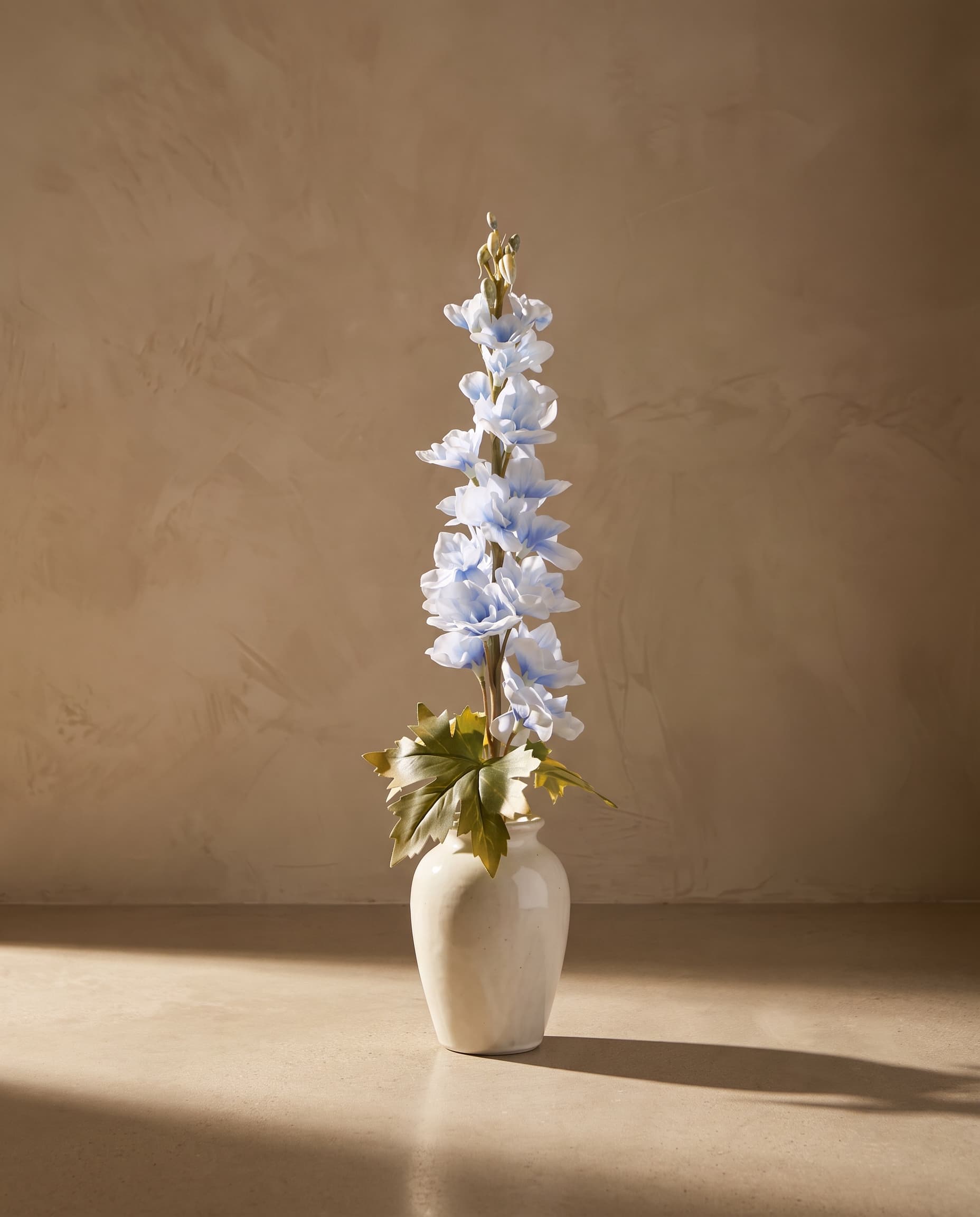 The Delphinium small