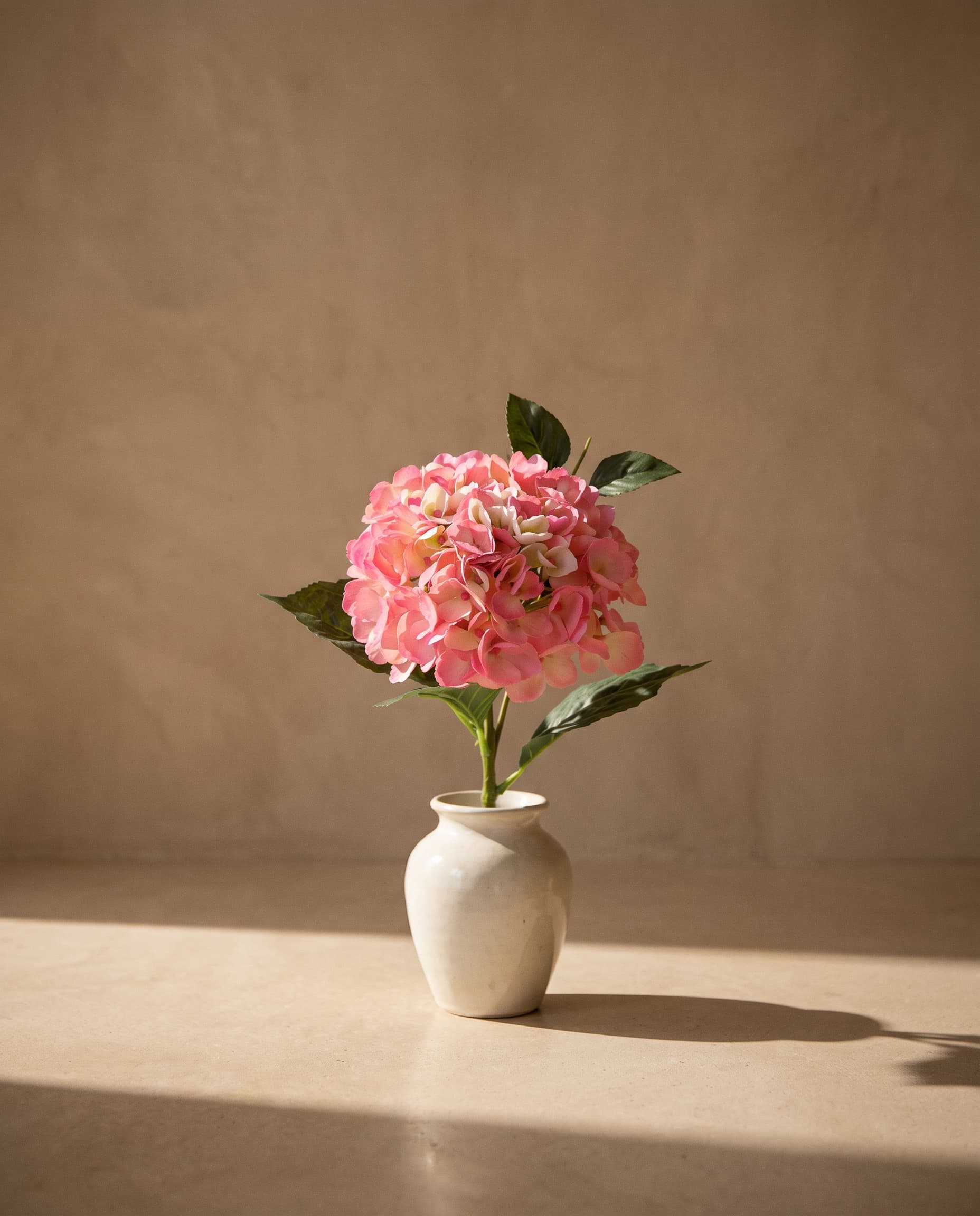 The Hydrangea macrophylla small on the stem