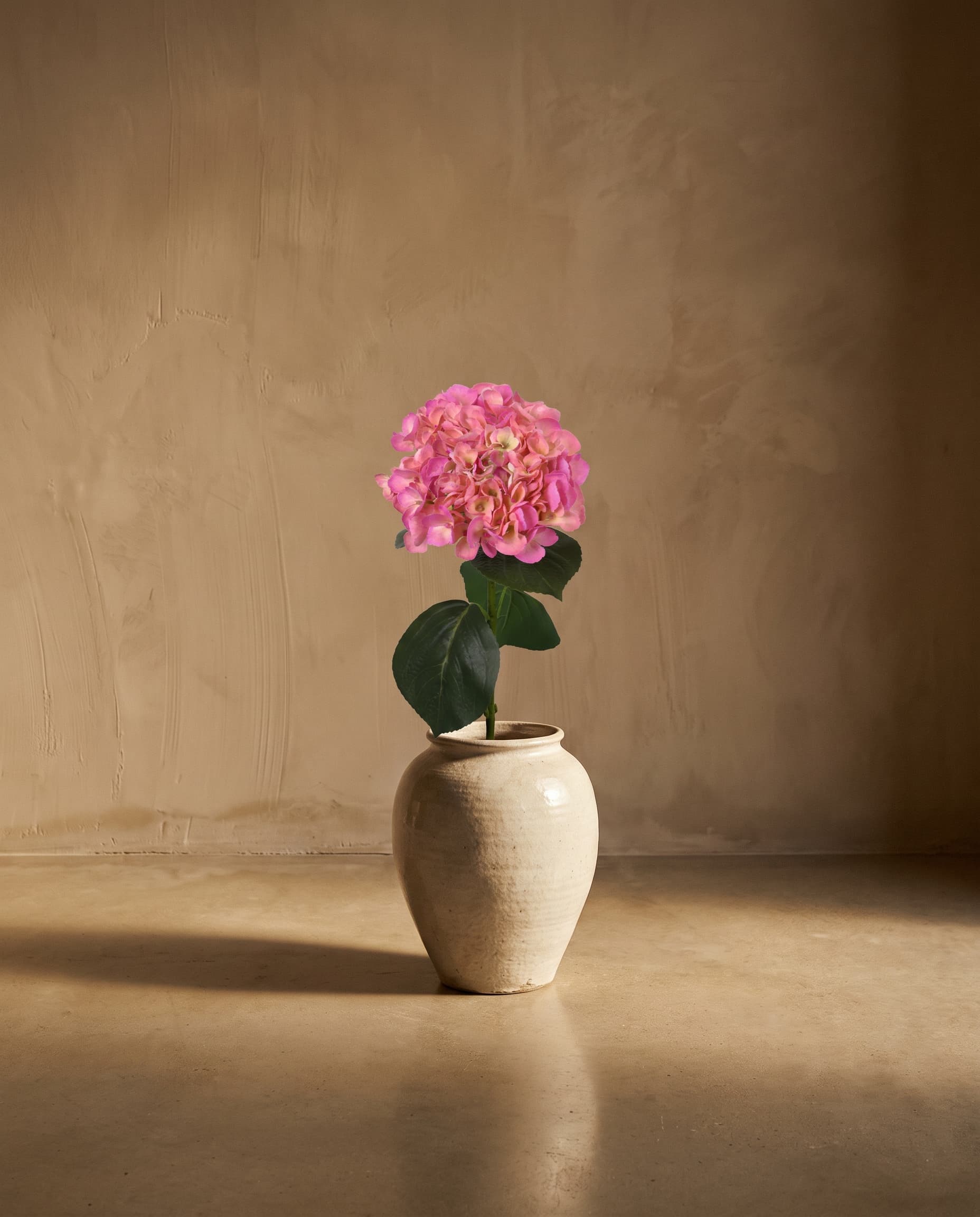 The Hydrangea macrophylla on the stem