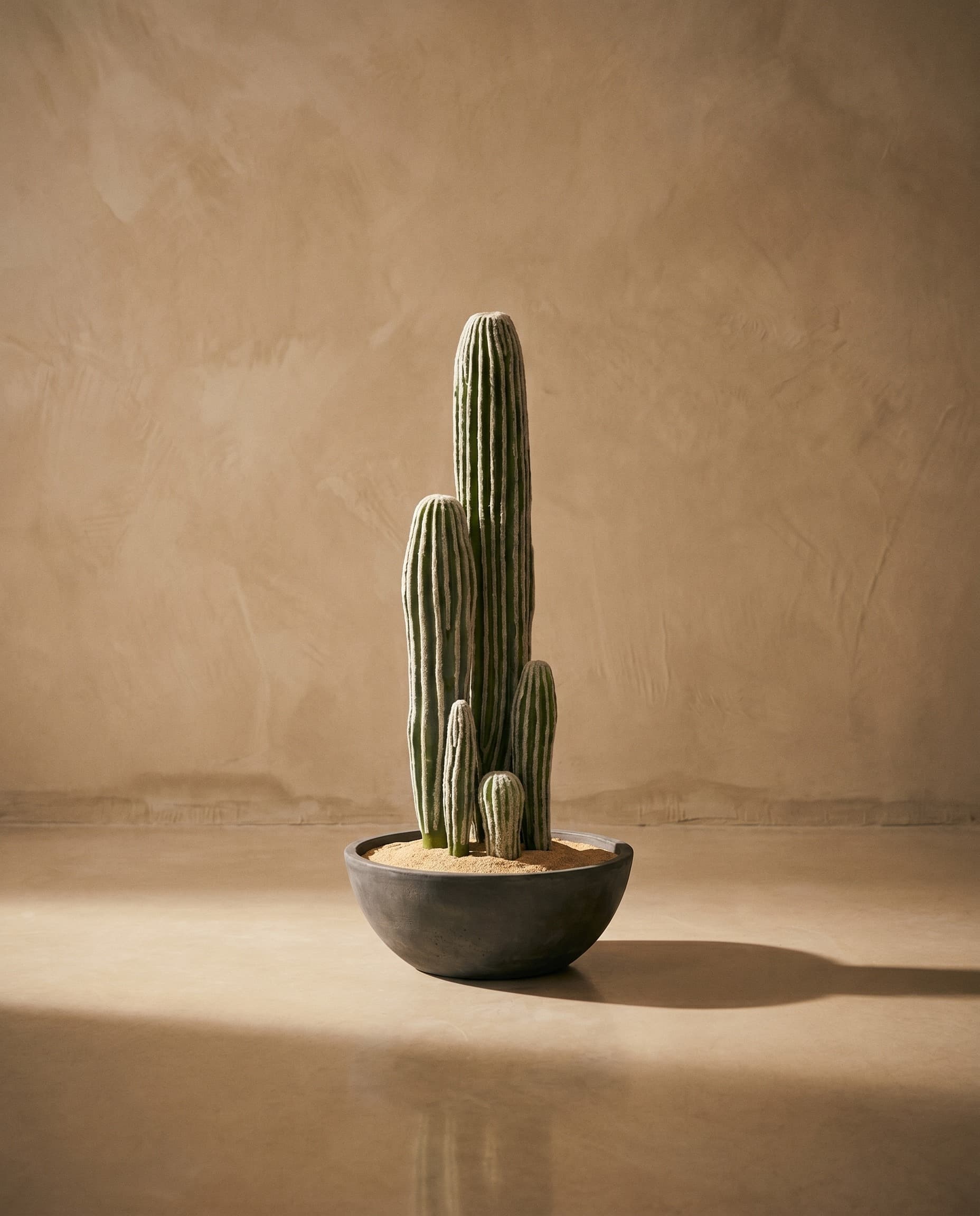 The San Pedro — The Desert