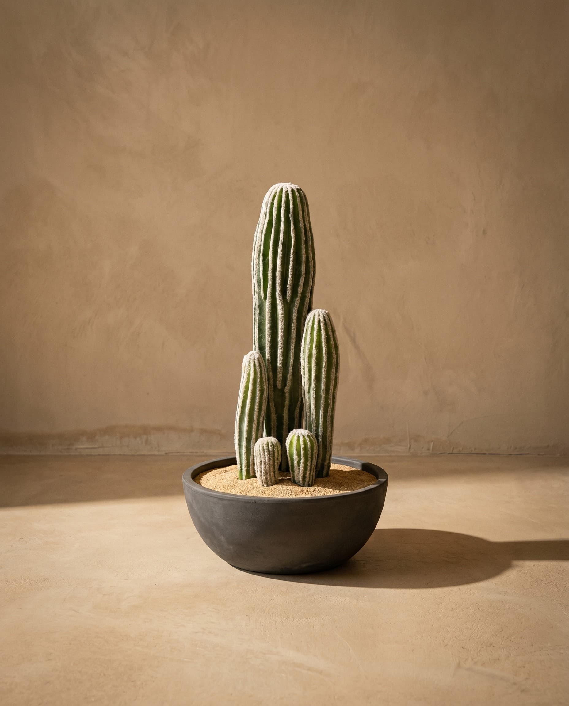 The San Pedro · 42cm — The Desert