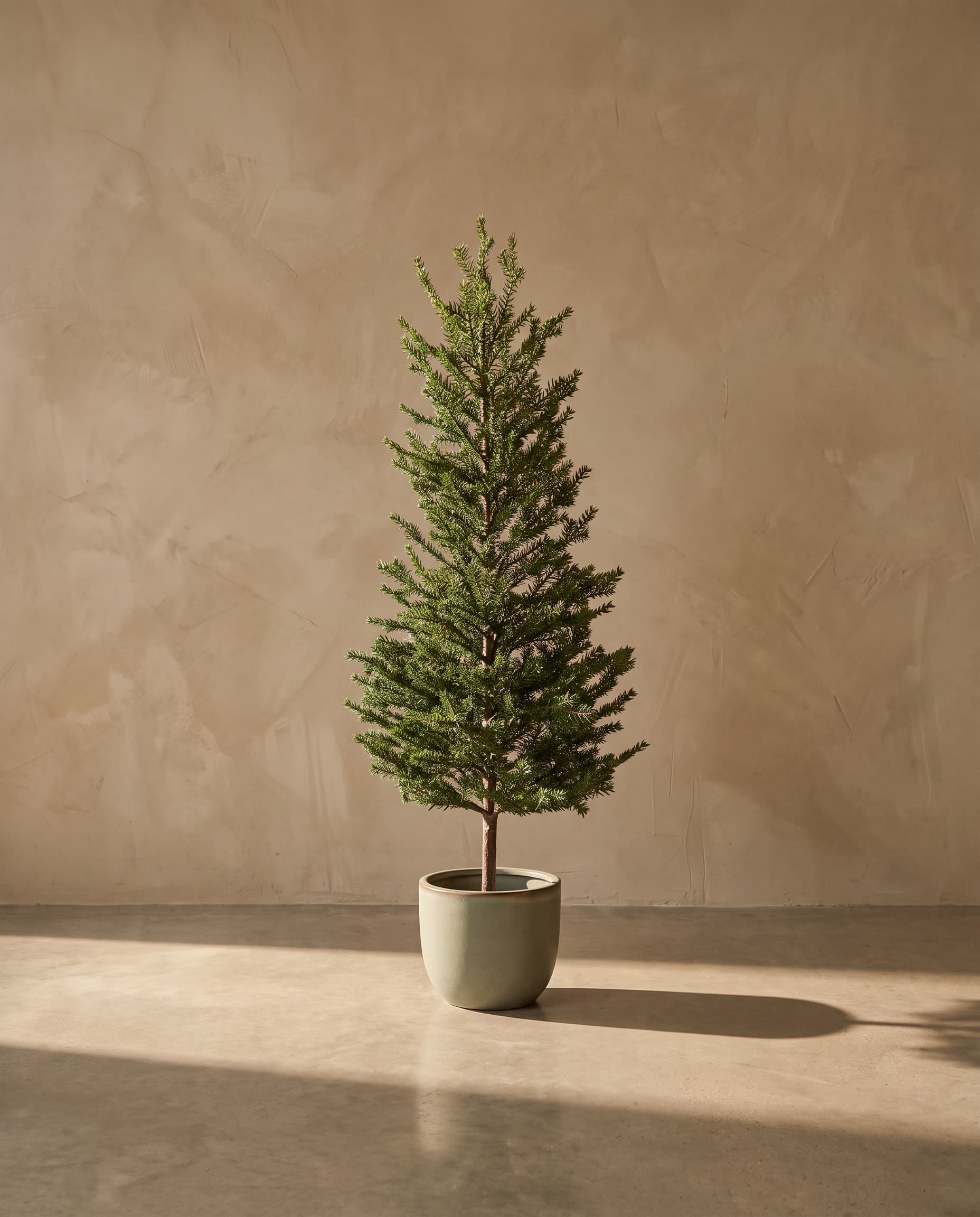 The Christmas Tree YF20PP-27790 24"