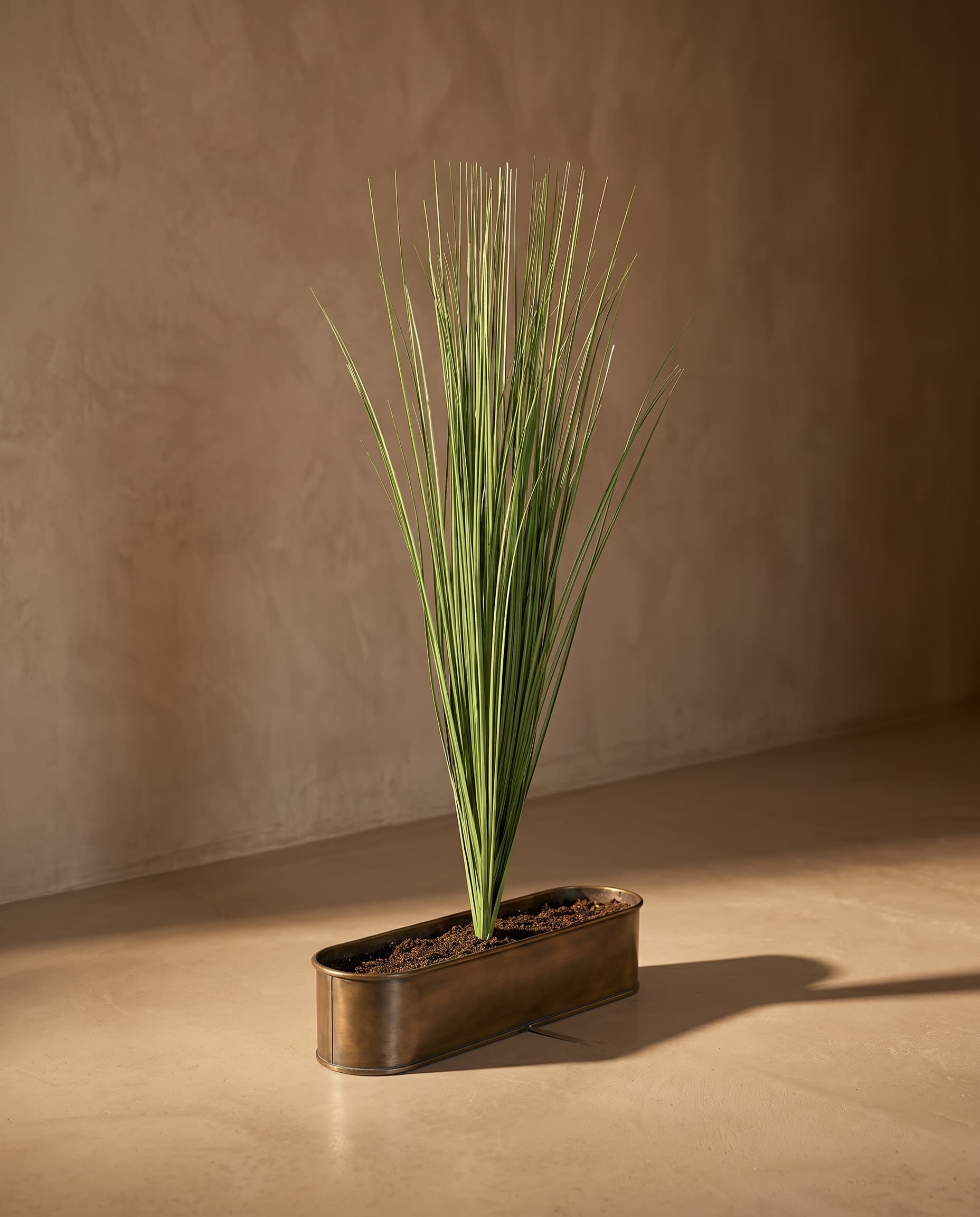 The Bunch of fine grass · 90cm