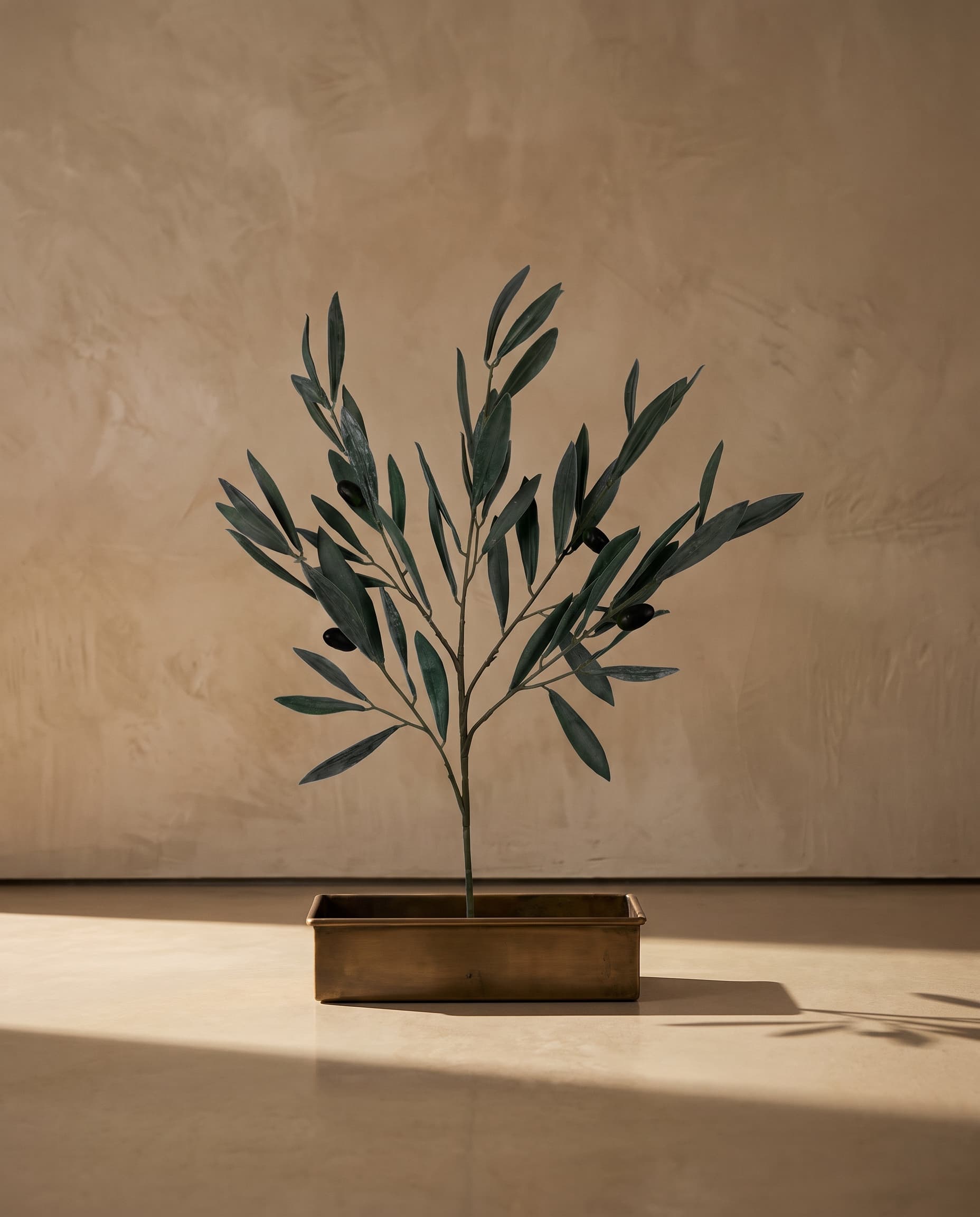 The Olive branch with fruits (small) · 50cm