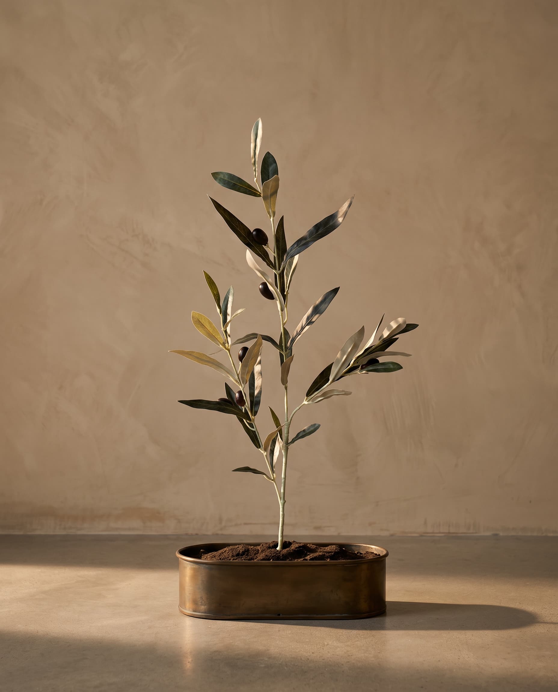The Olive branch with fruits medium ( UV & Fire Protection ) · 76cm