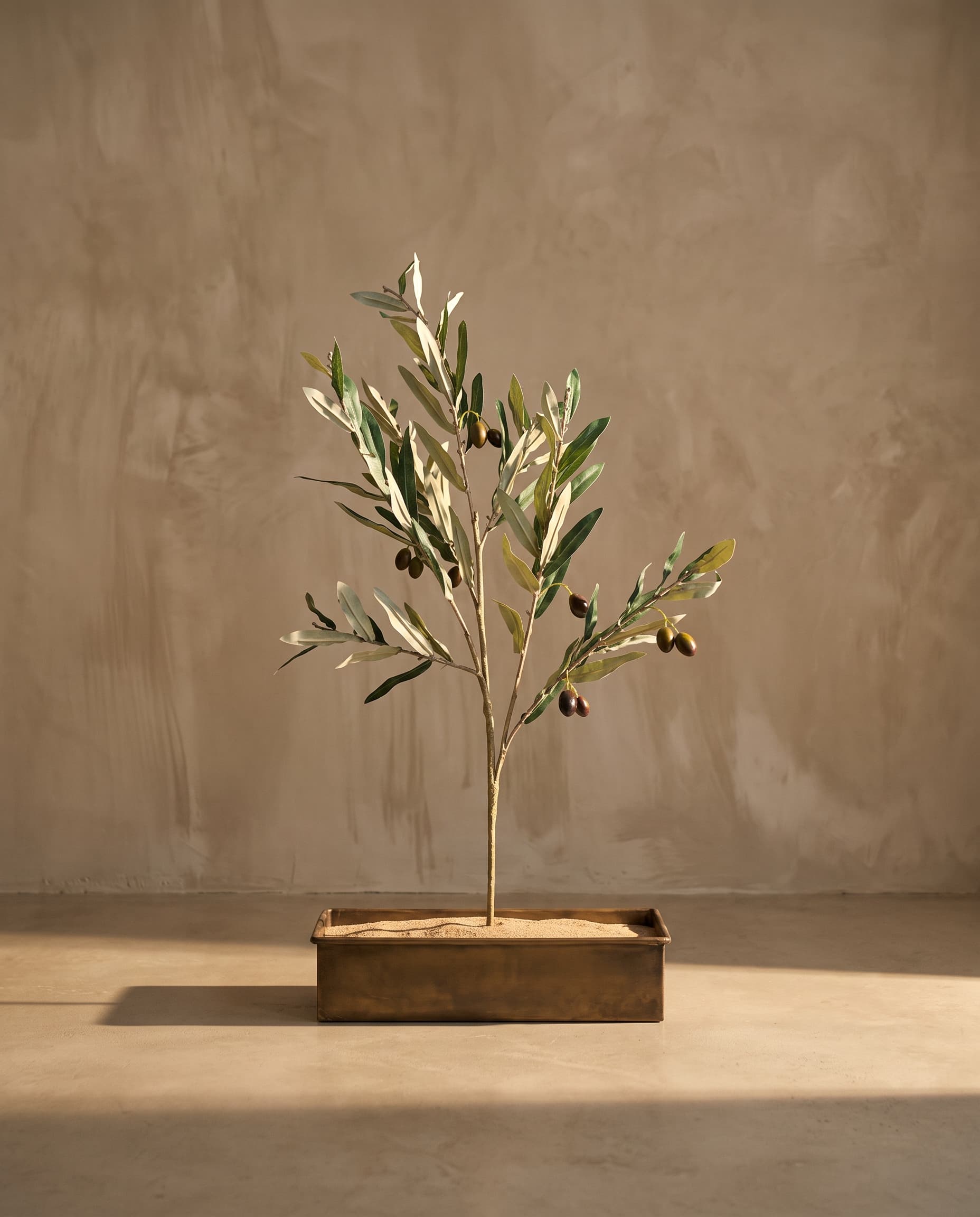 The Olive branch with fruits with UV protection · 1.03m