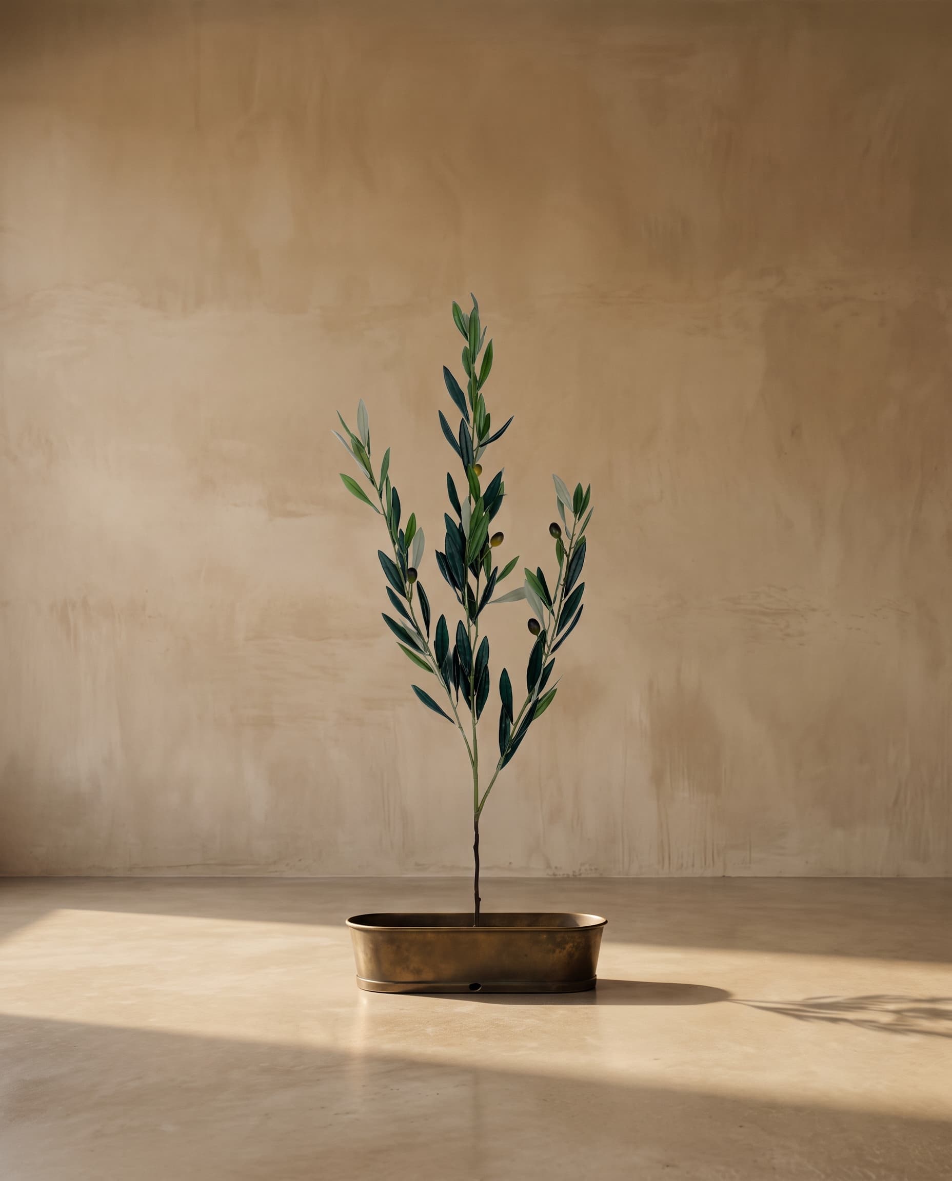 The Olive branch with fruits with UV protection · 1m