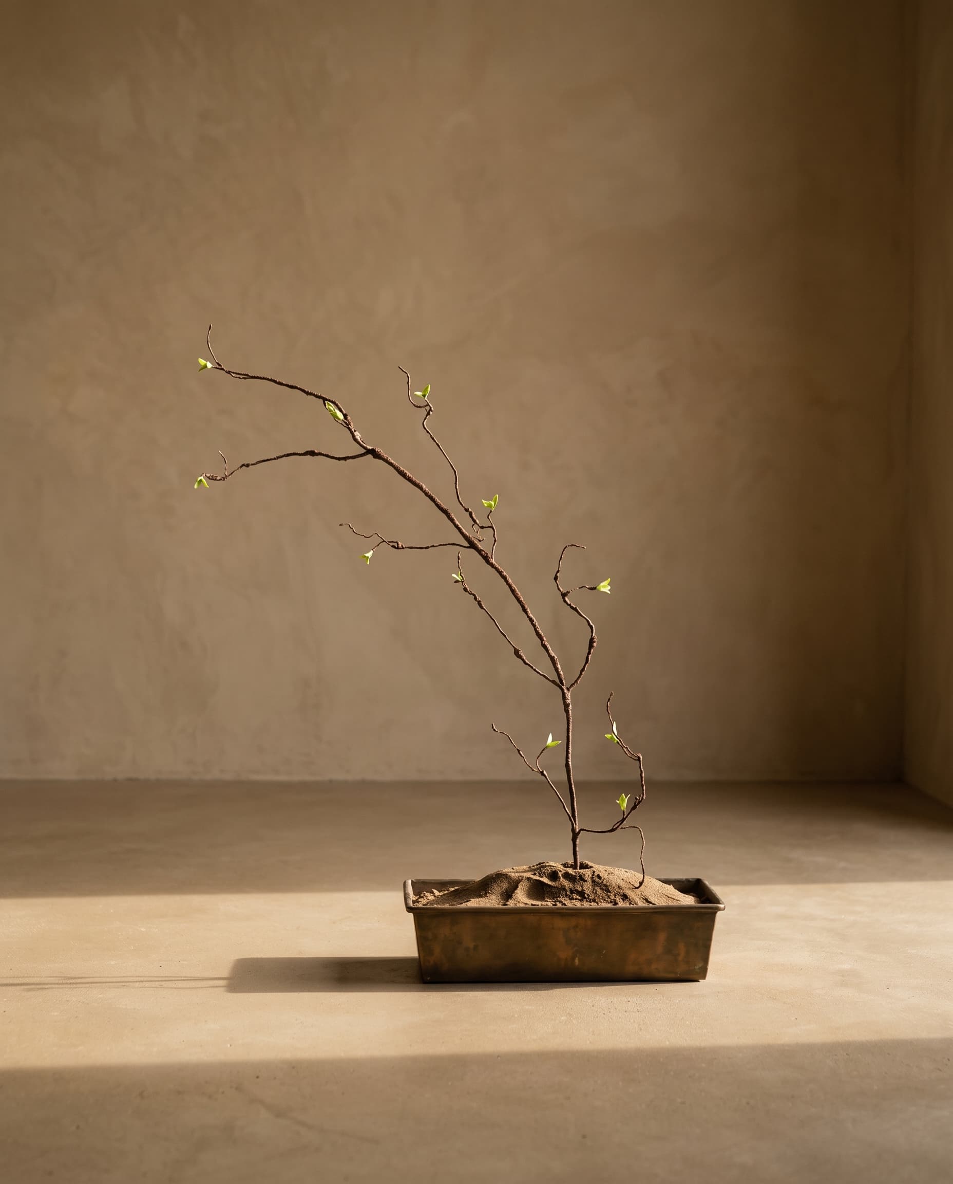 The Branch (with leaves) · 1.65m
